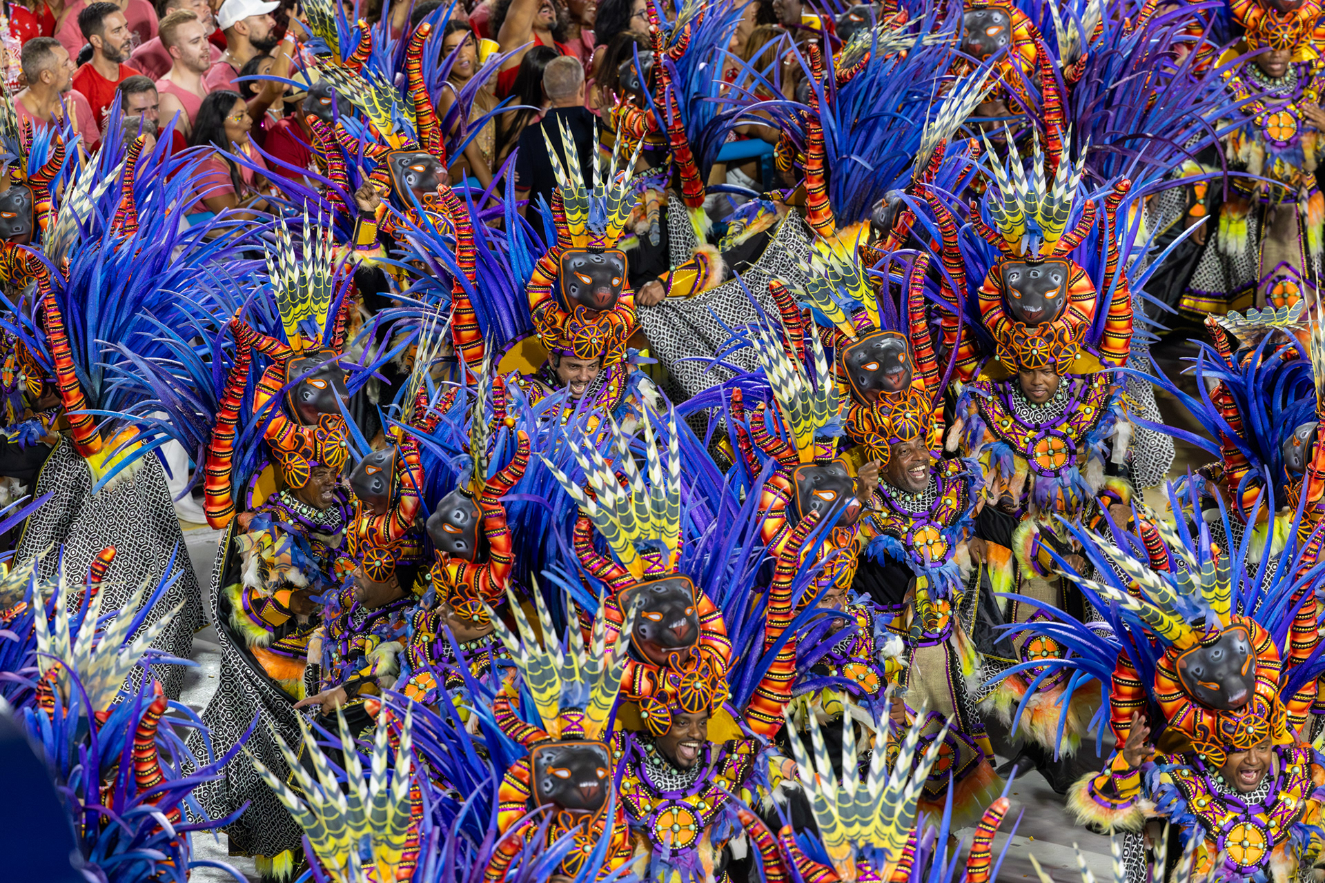 Salgueiro