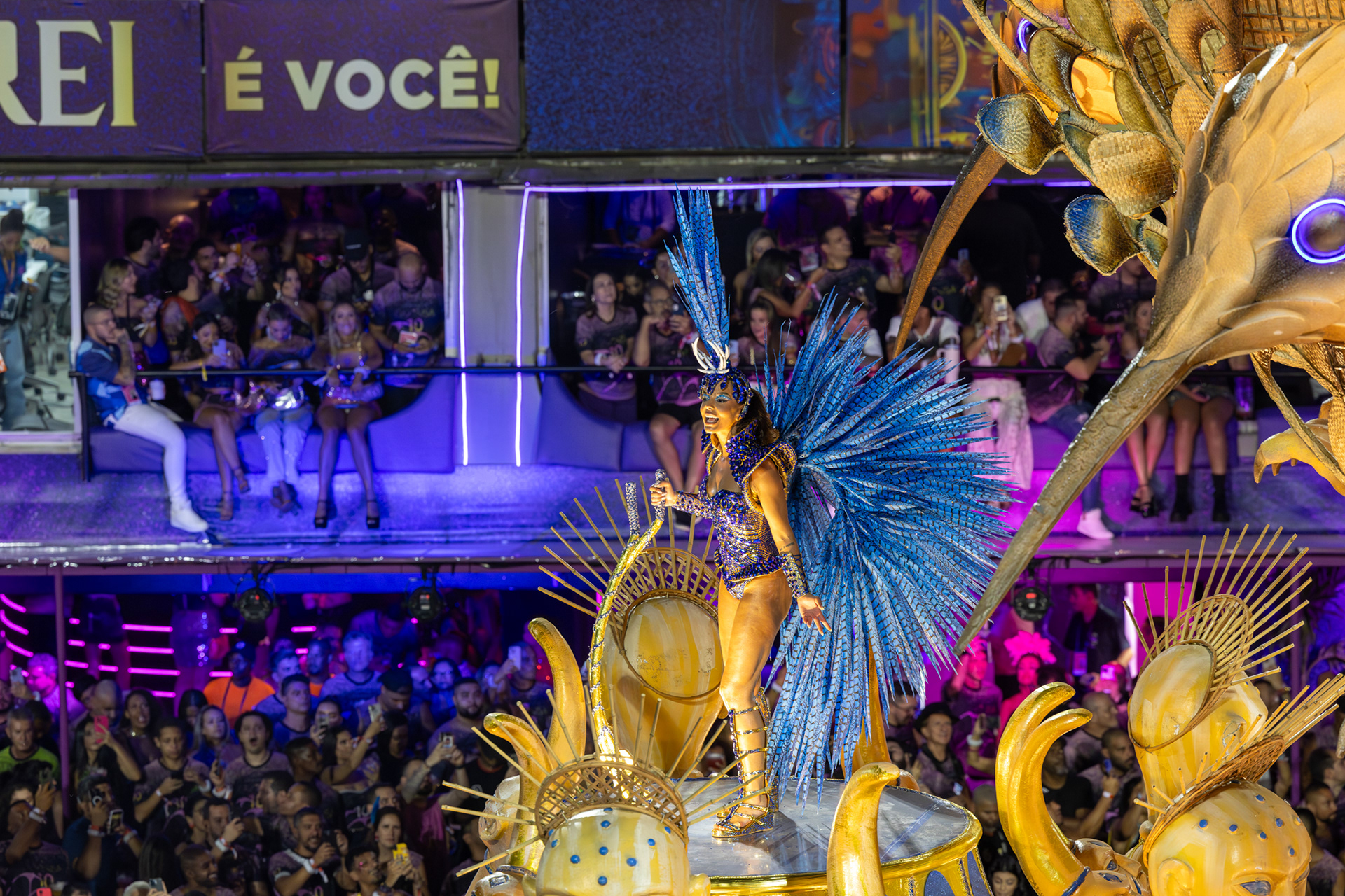 Beija-Flor