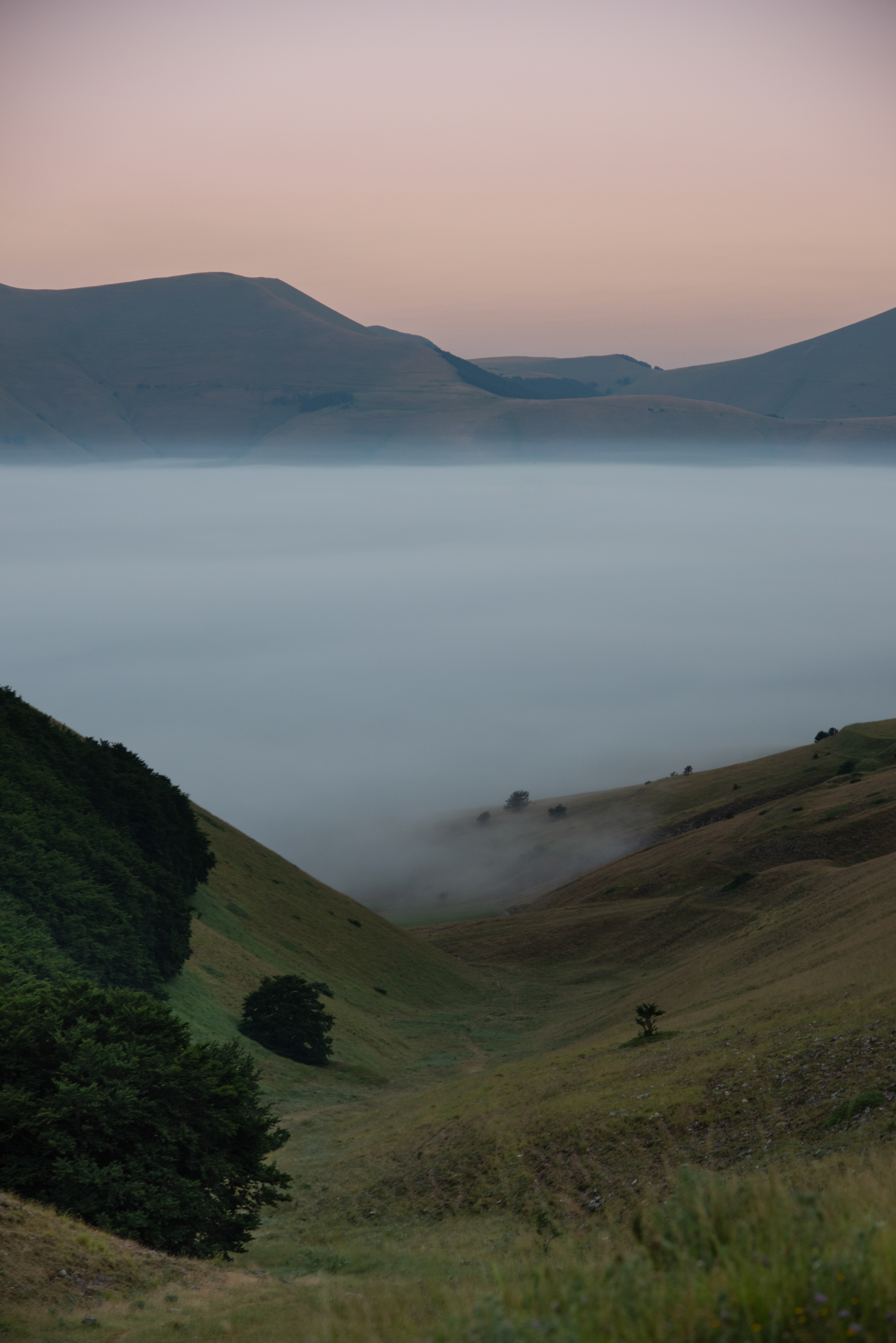 Castelluccio di Norcia, Lug 2025