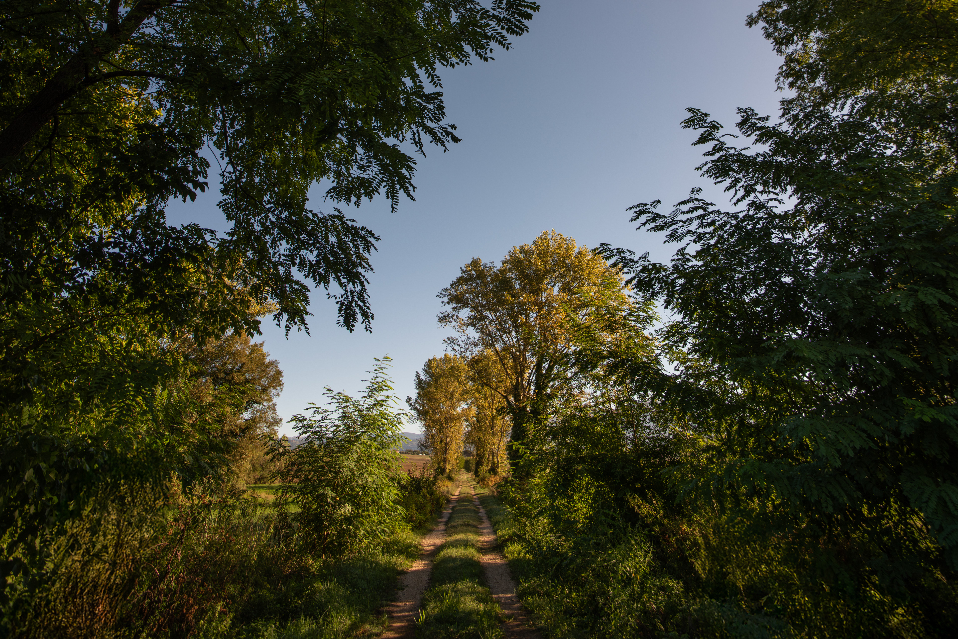 Mola dei Piscoli, Paliano (FR)