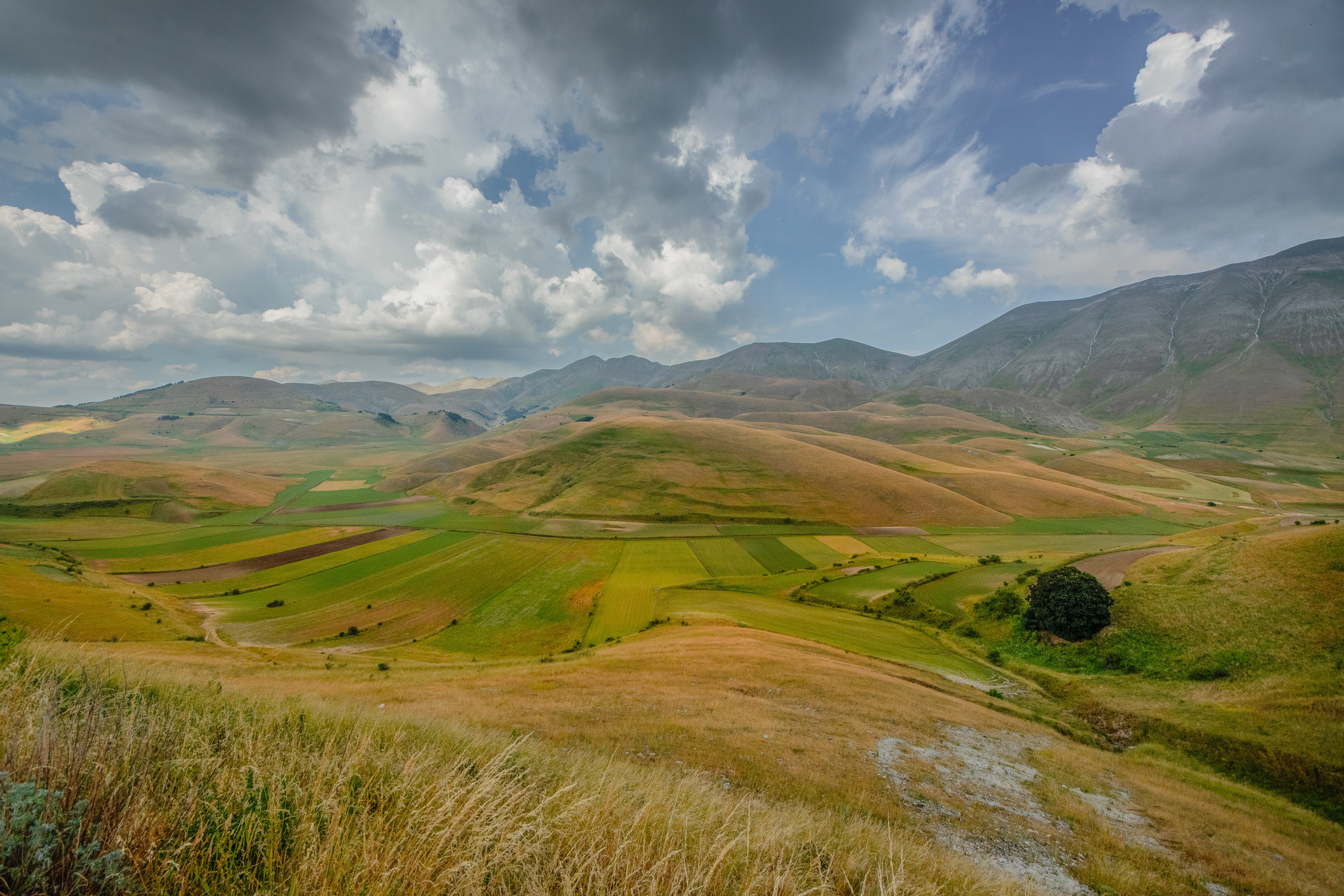 Castelluccio di Norcia, Lug 2025