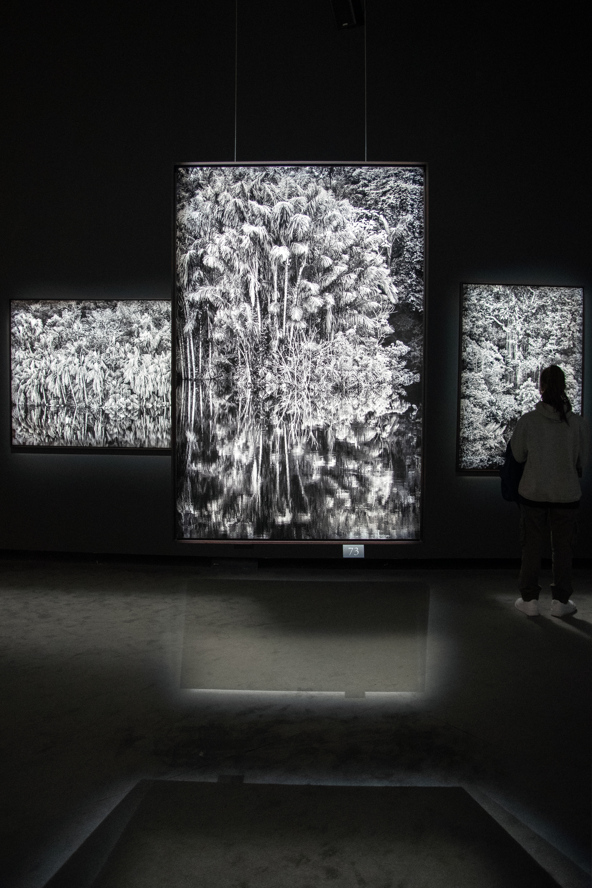 Roma MaXXI, Mostra Salgado