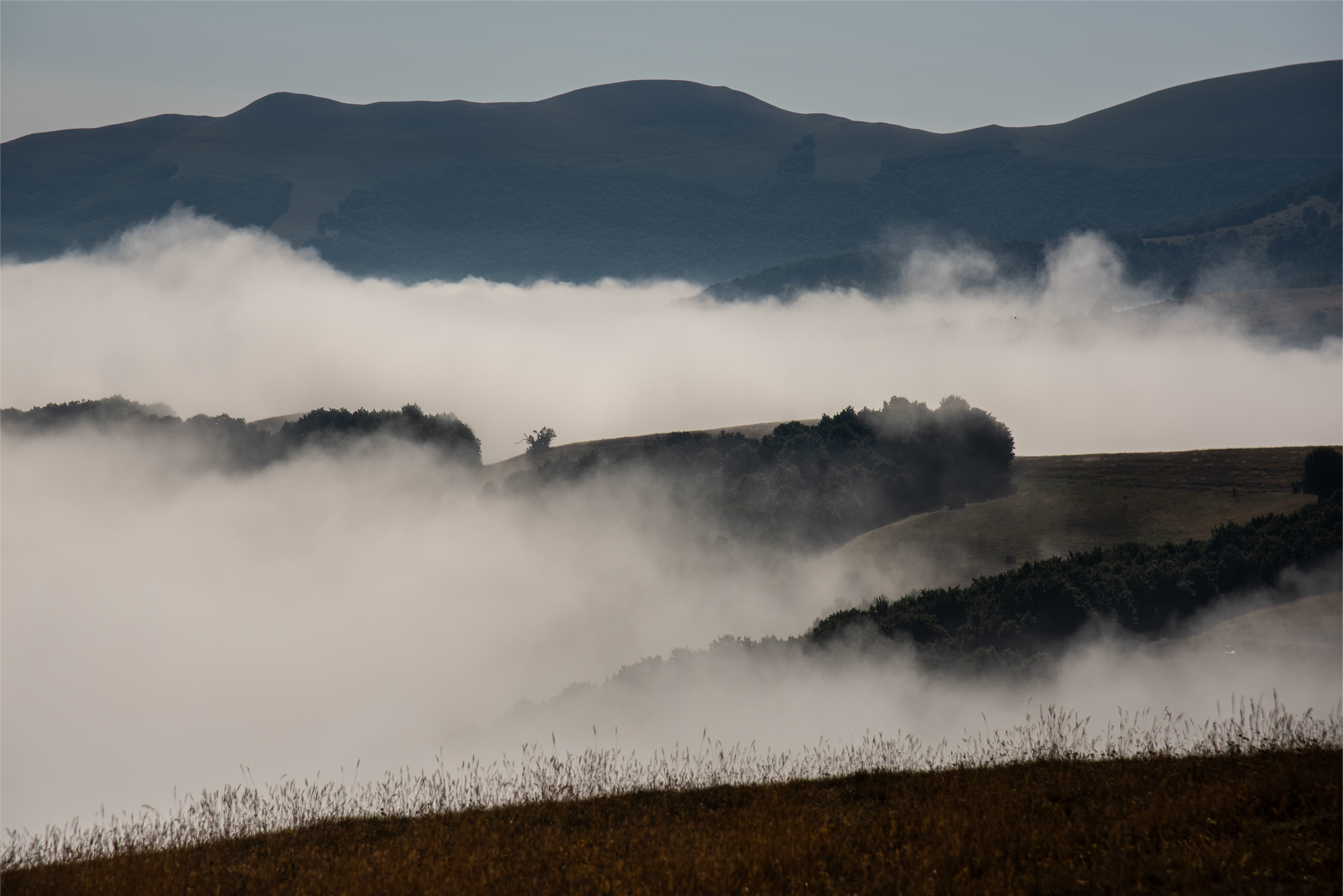 Castelluccio di Norcia, Lug 2025