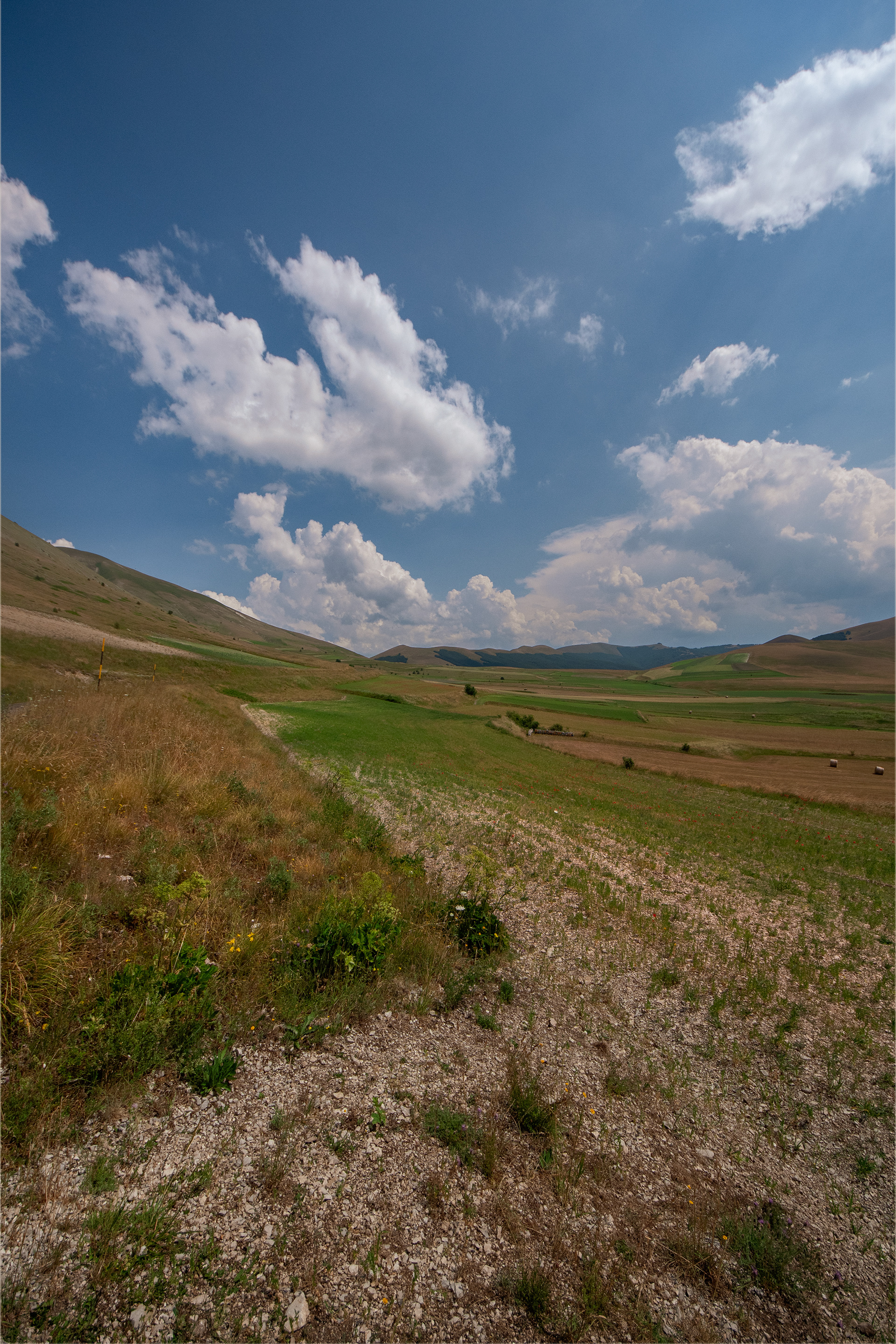 Castelluccio di Norcia, Lug 2025