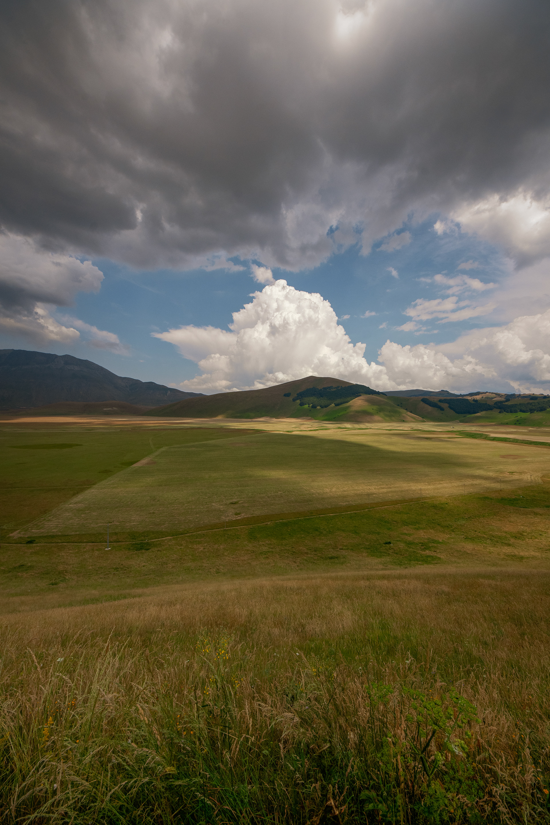 Castelluccio di Norcia, Lug 2025