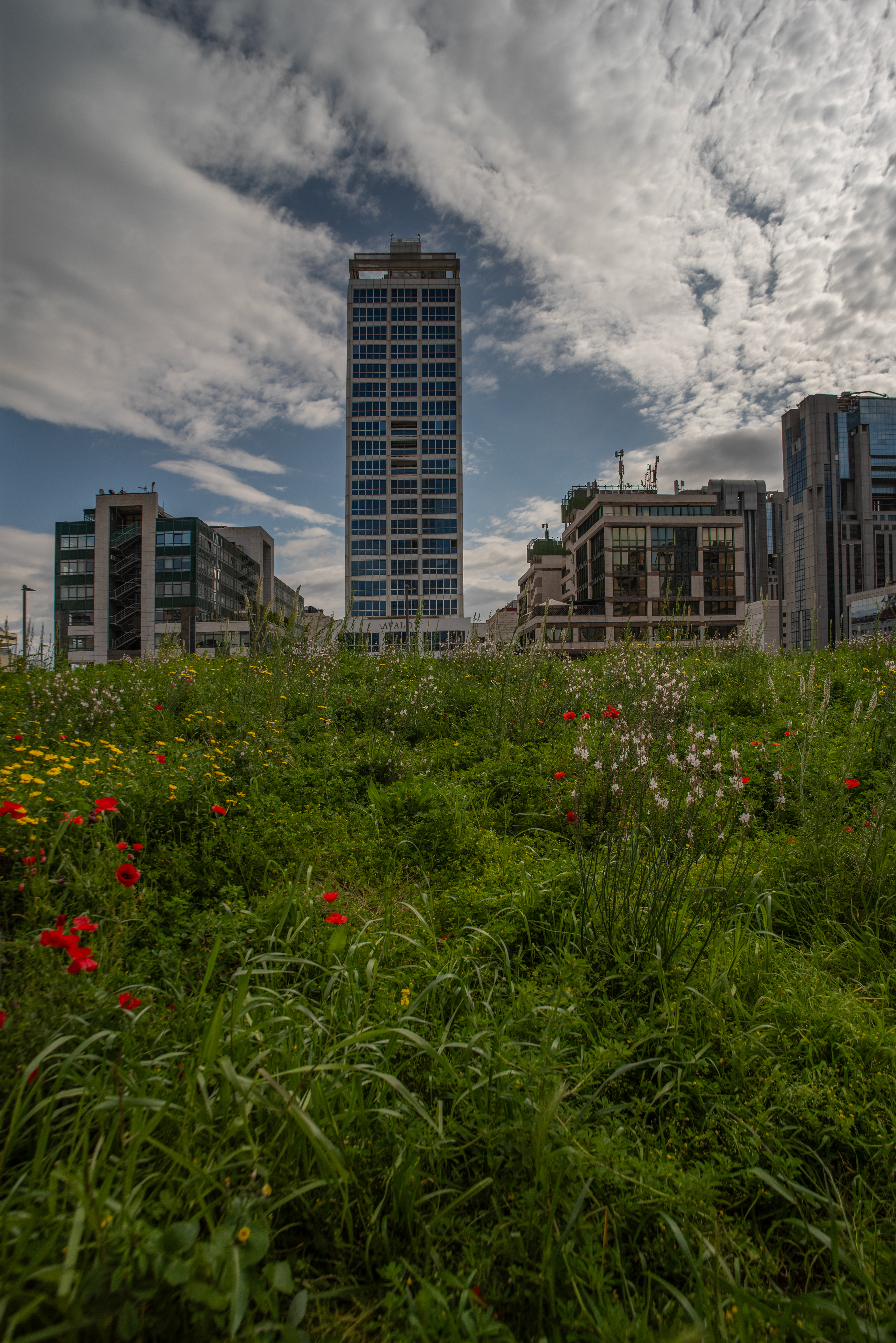 Napoli, Centro Direzionale Marzo2026