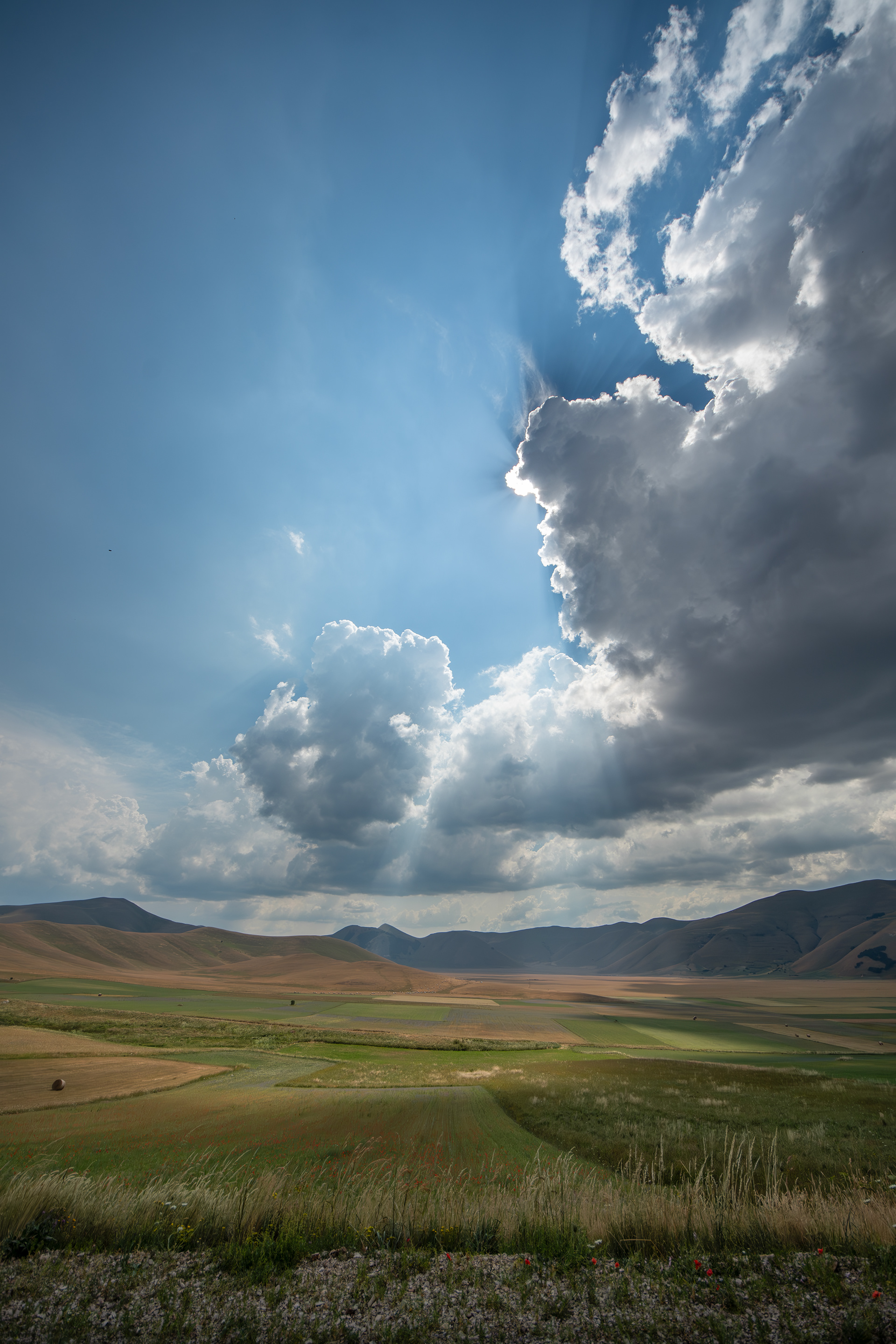 Castelluccio di Norcia, Lug 2025