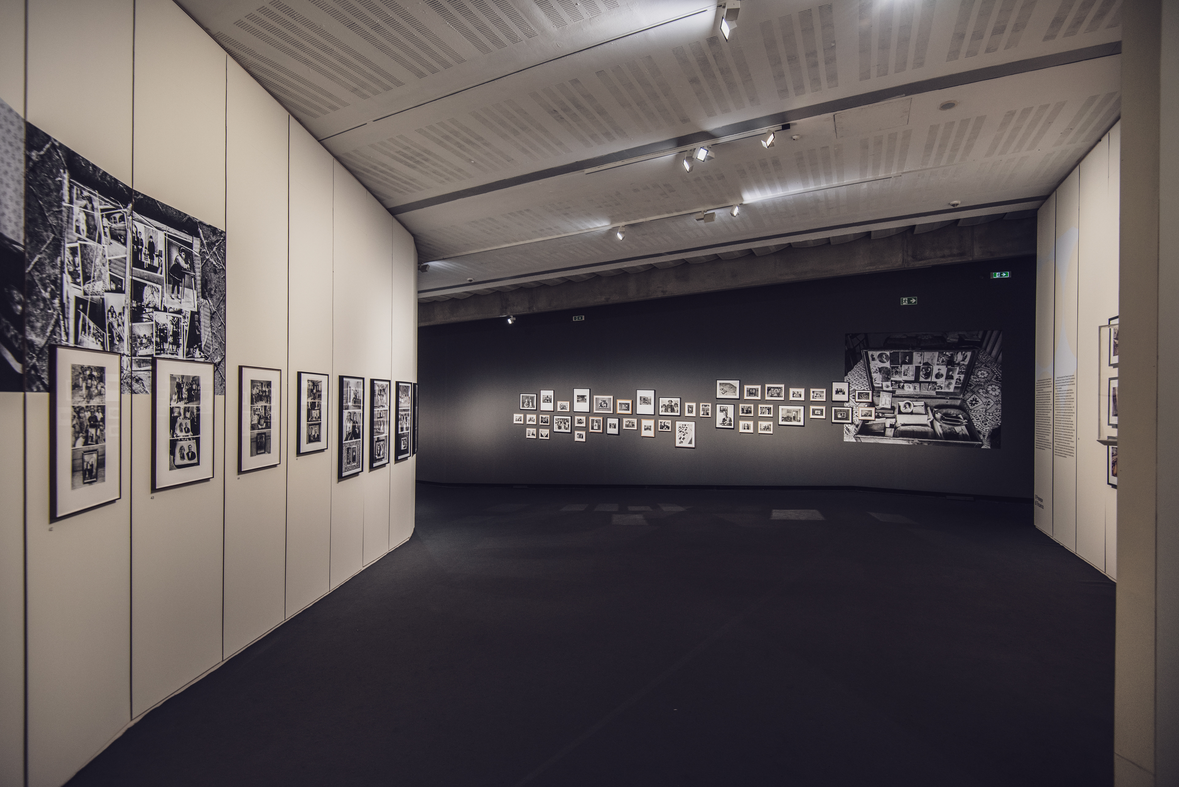 Roma MaXXI, Mostra Cresci