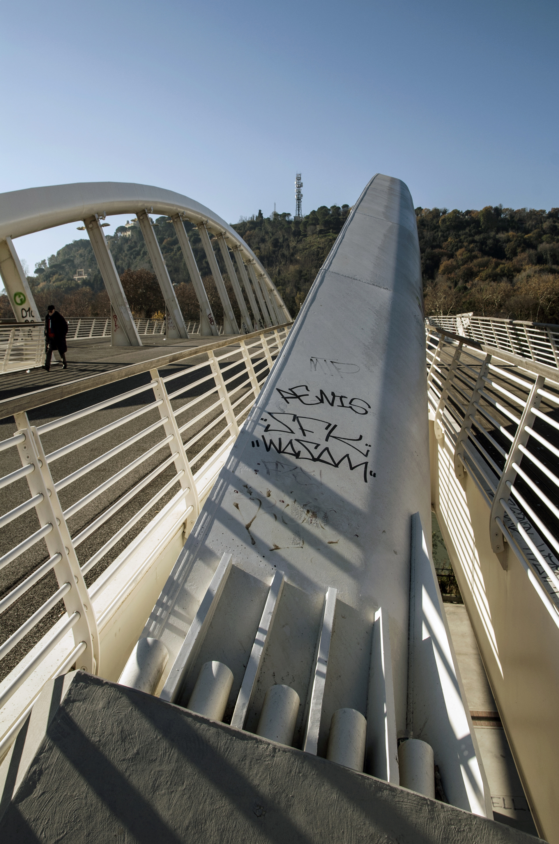 Roma, Ponte della Musica
