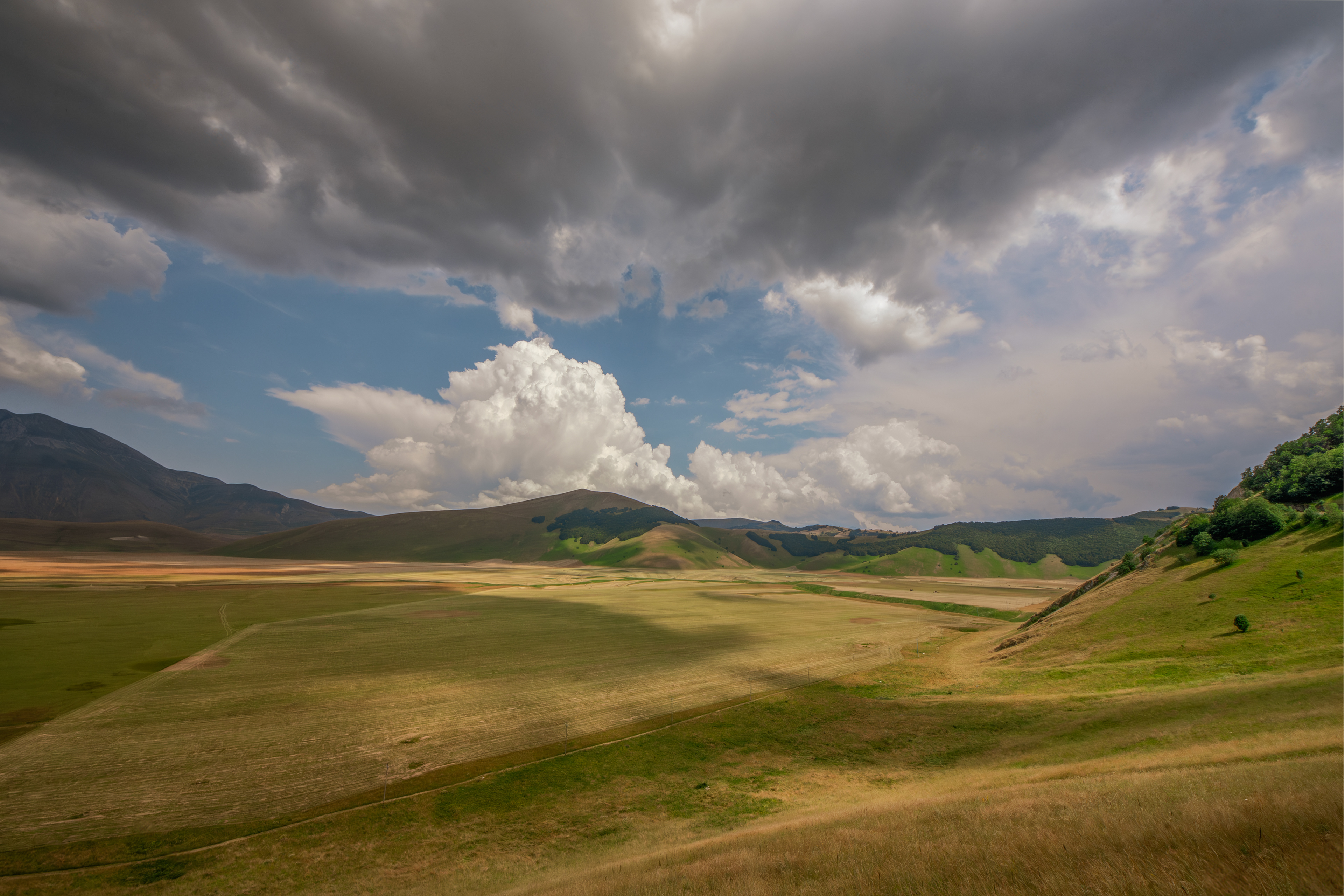 Castelluccio di Norcia, Lug 2025