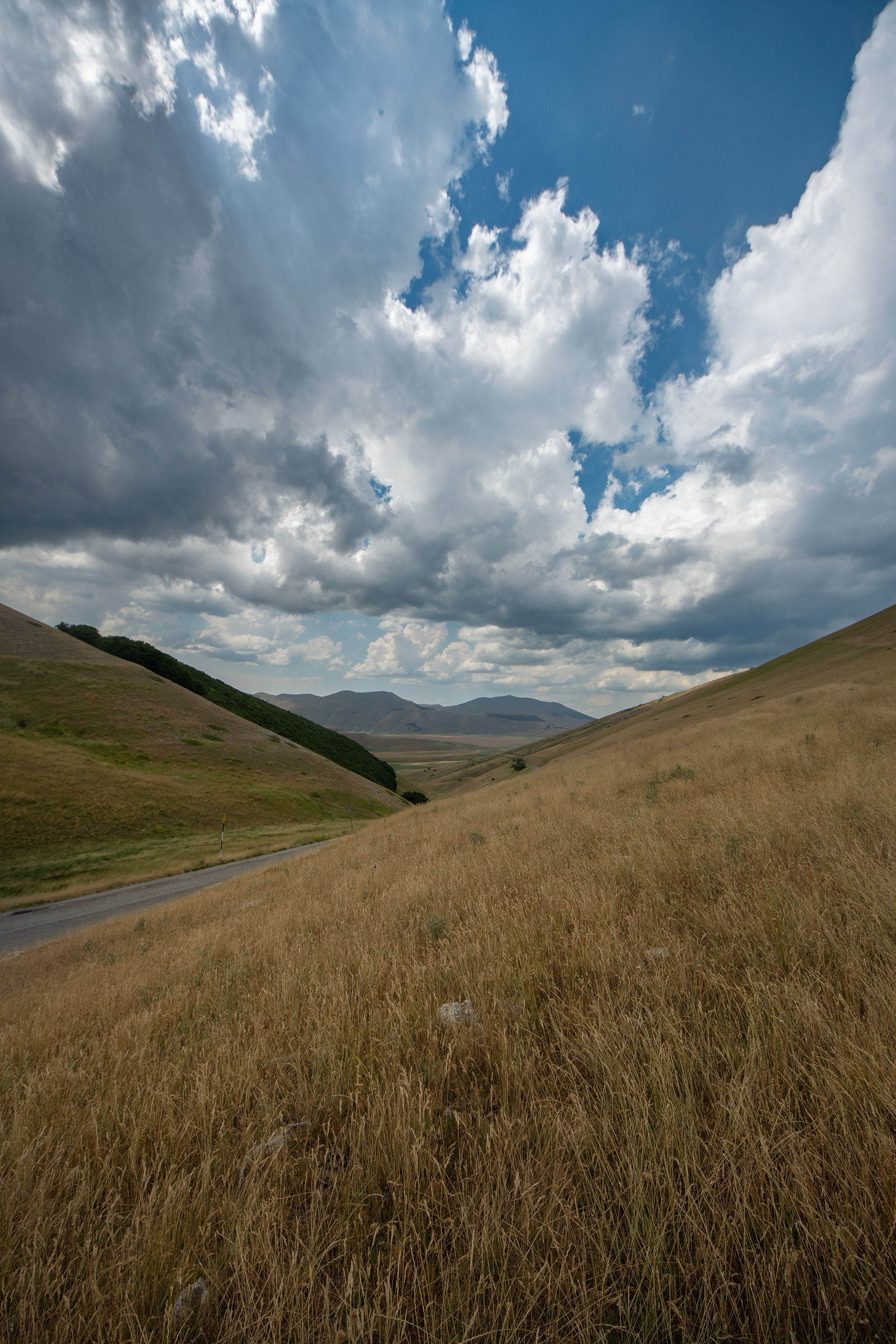 Castelluccio di Norcia, Lug 2025