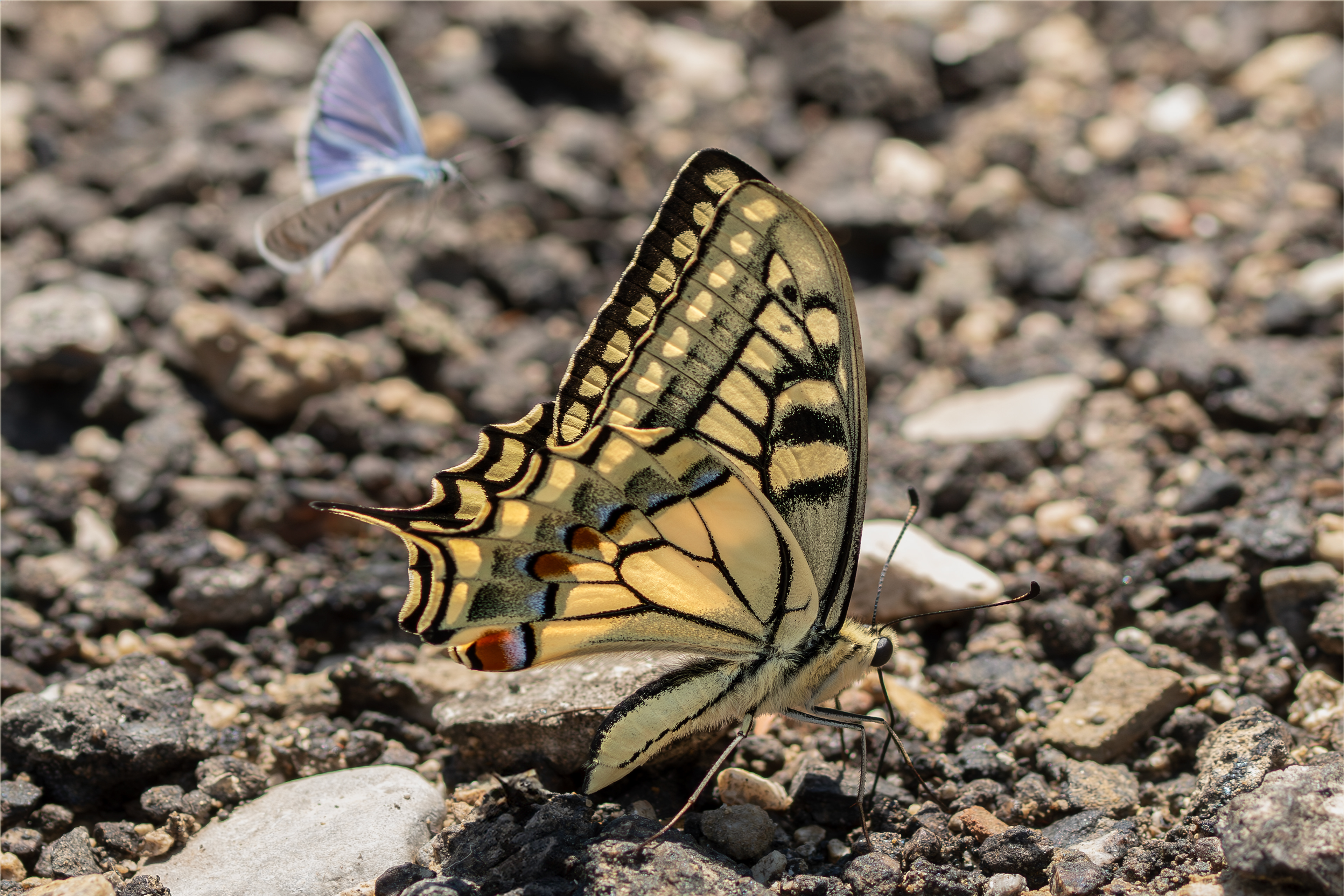 Luglio 2025 - Umbria