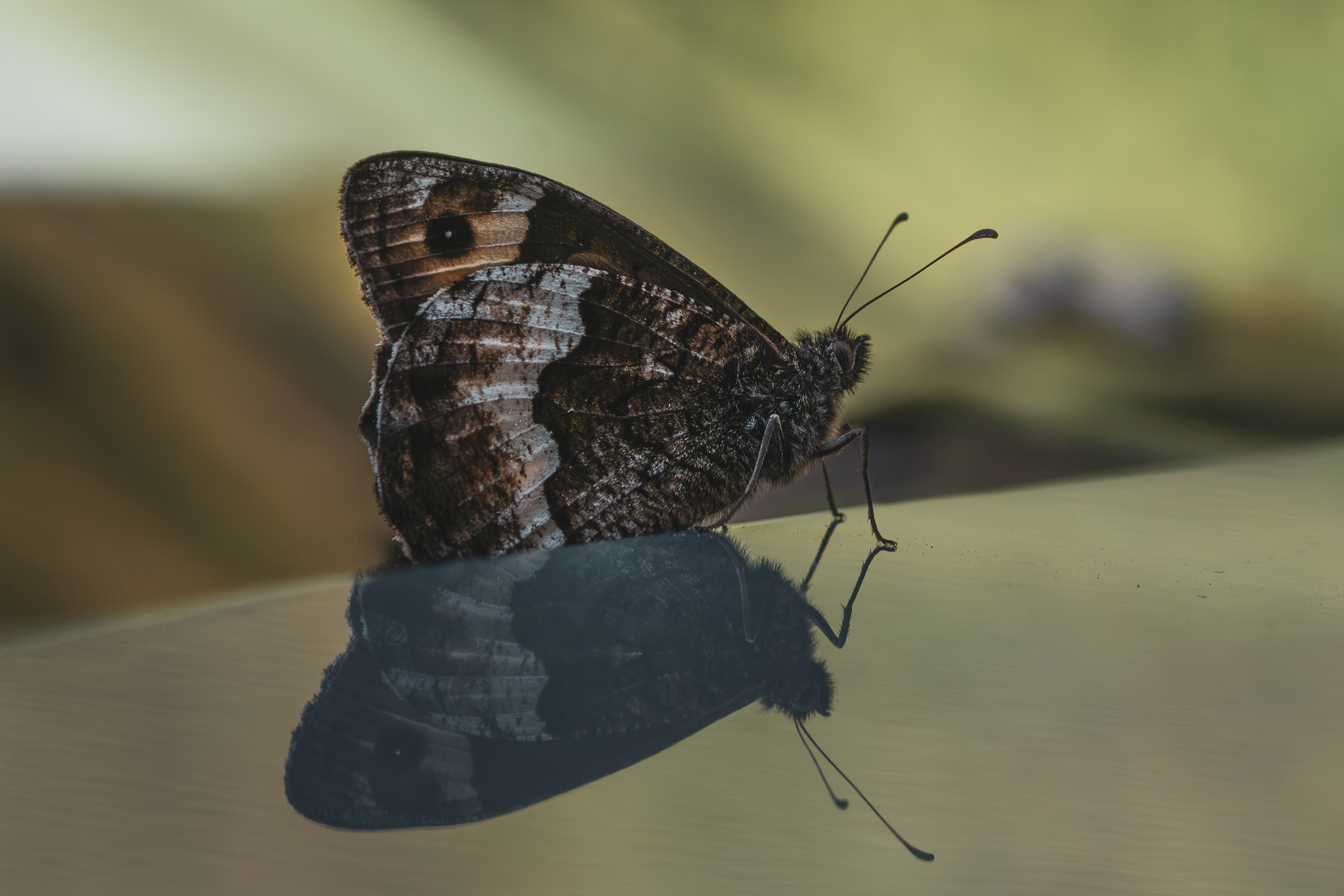 Luglio 2025 - Umbria