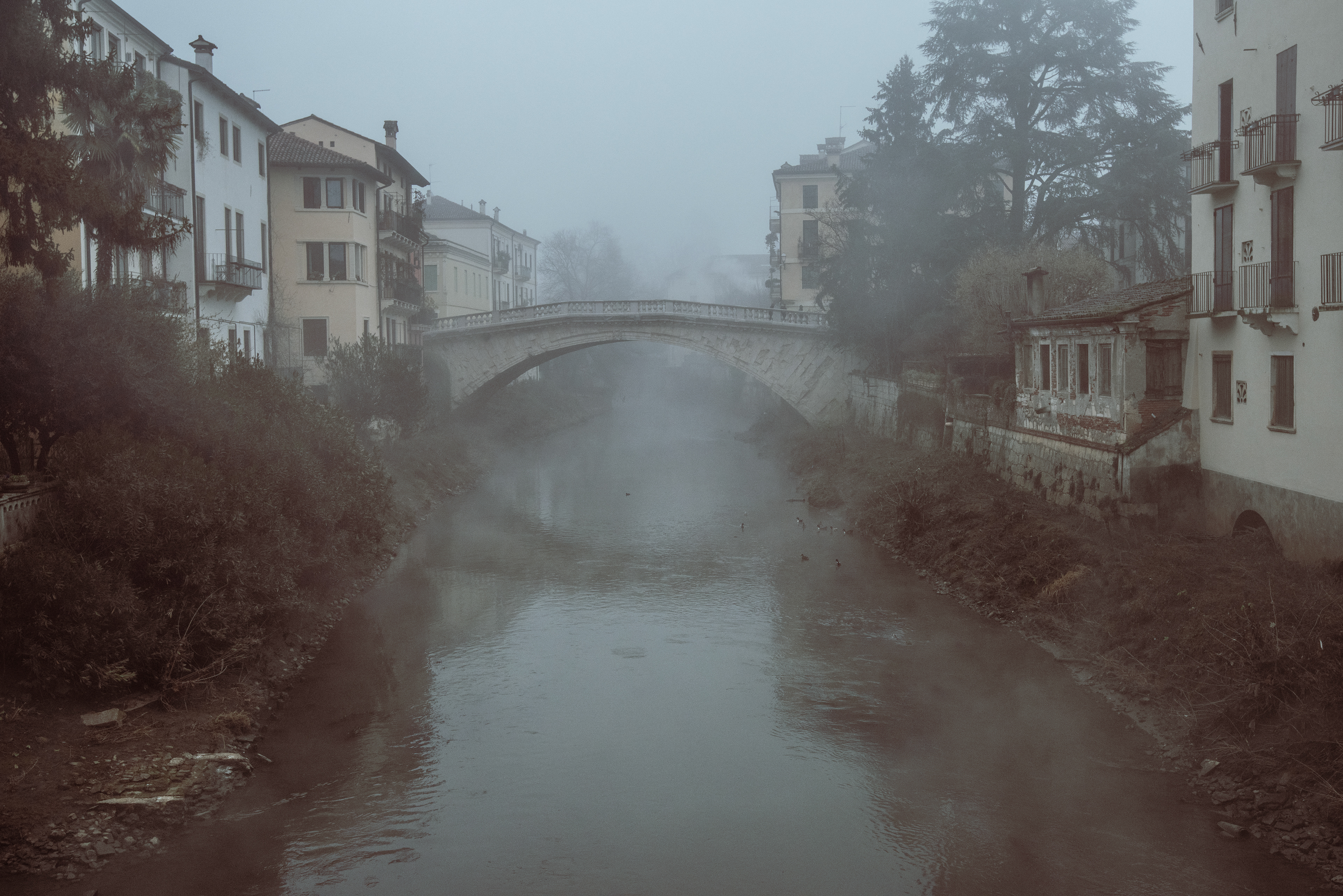 Vicenza