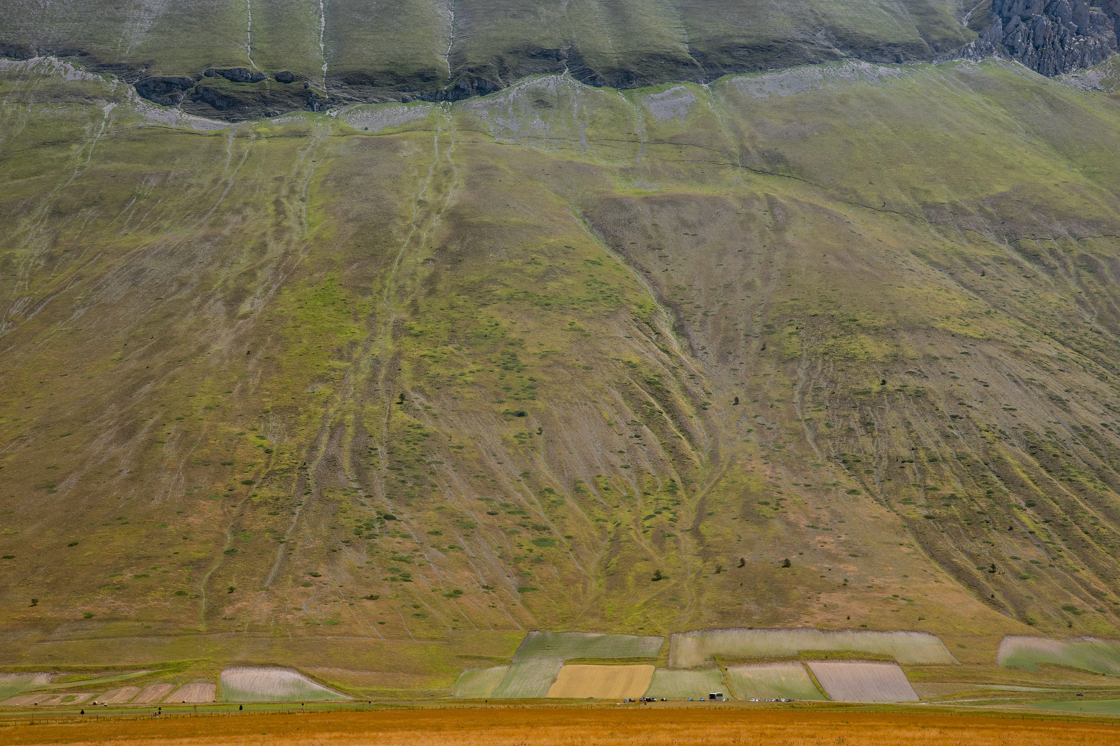 Castelluccio di Norcia, Lug 2025