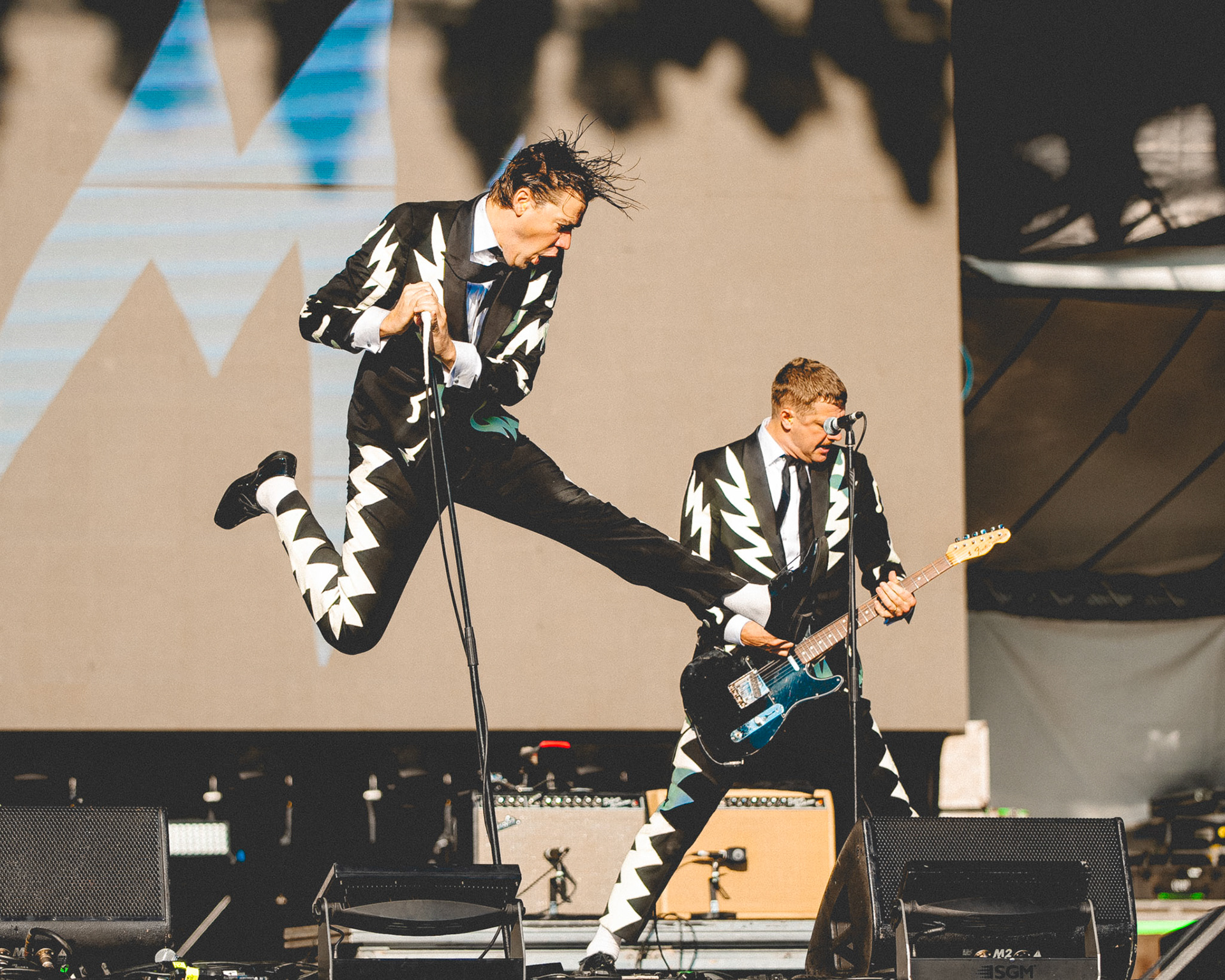 The Hives