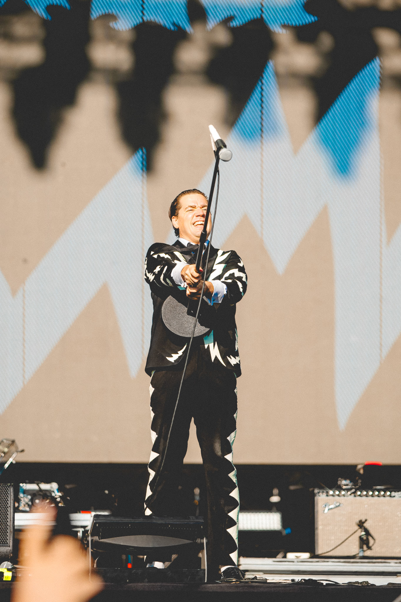 The Hives