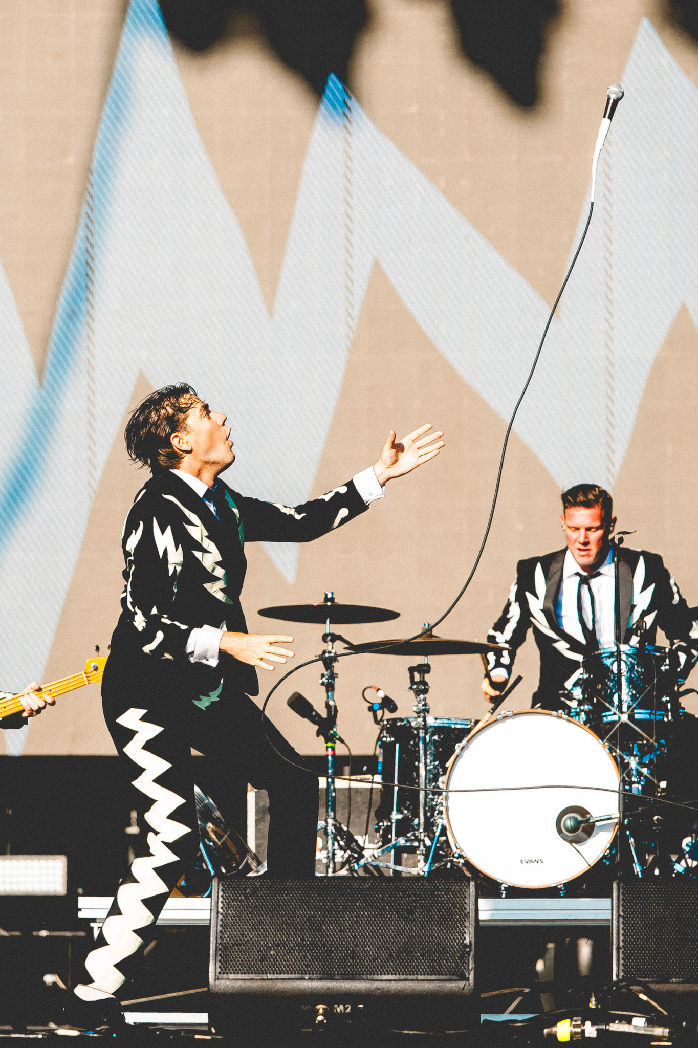 The Hives