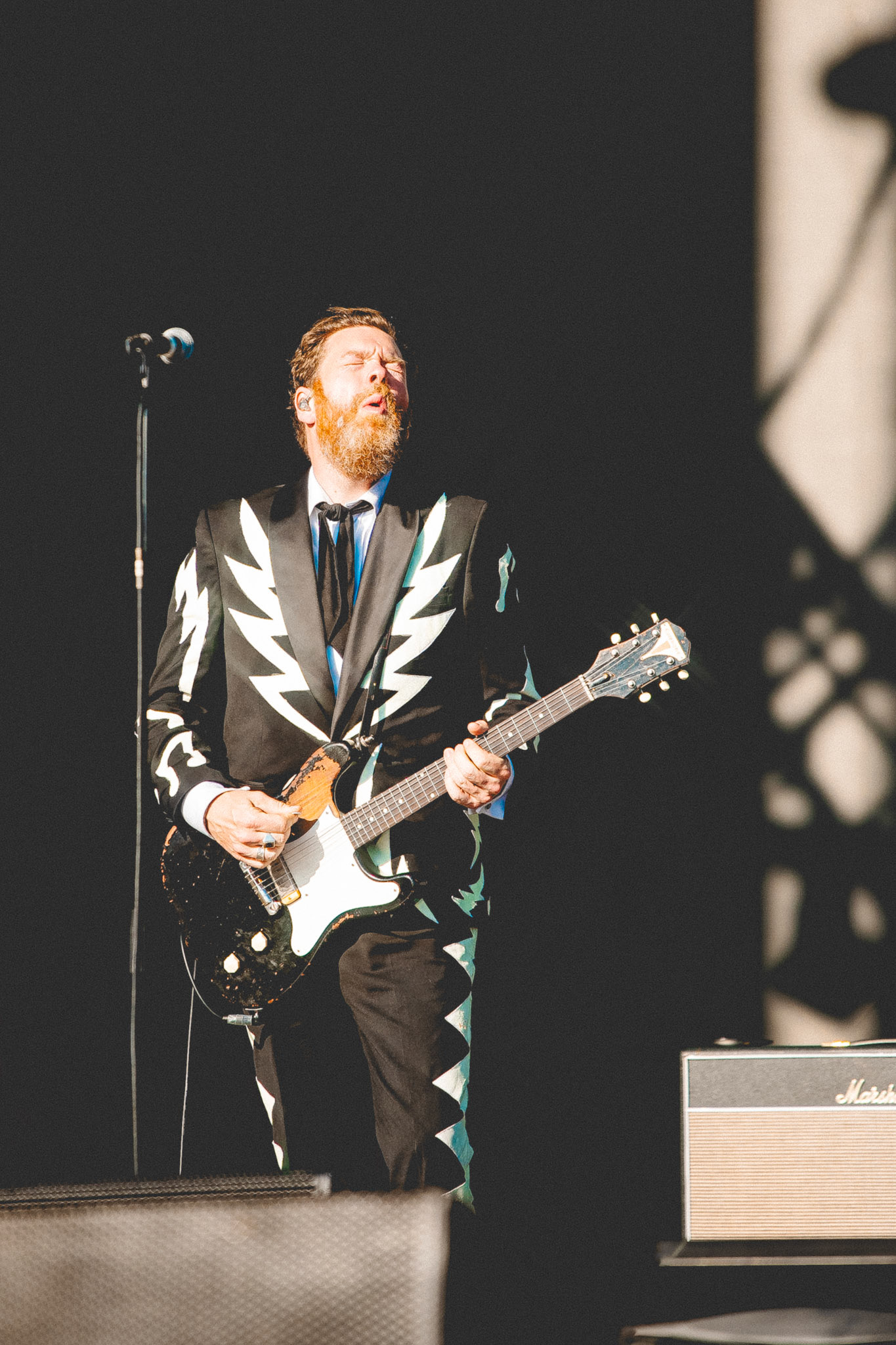 The Hives