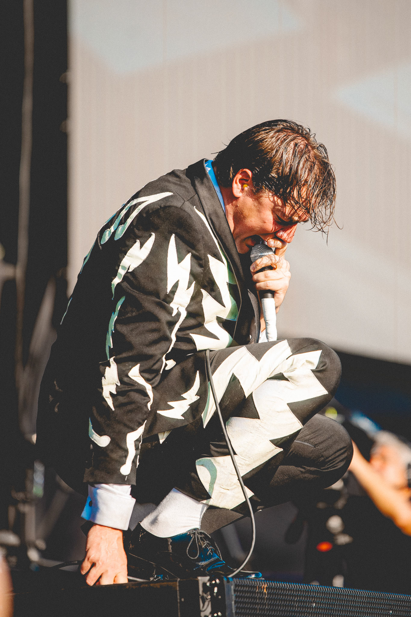 The Hives