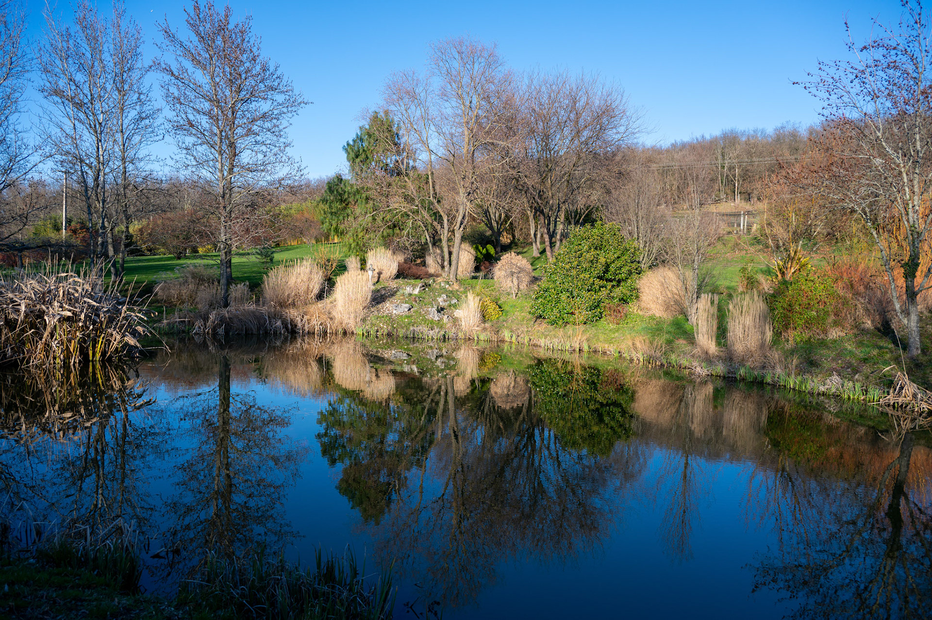 Reflet en couleur - Vice Versa