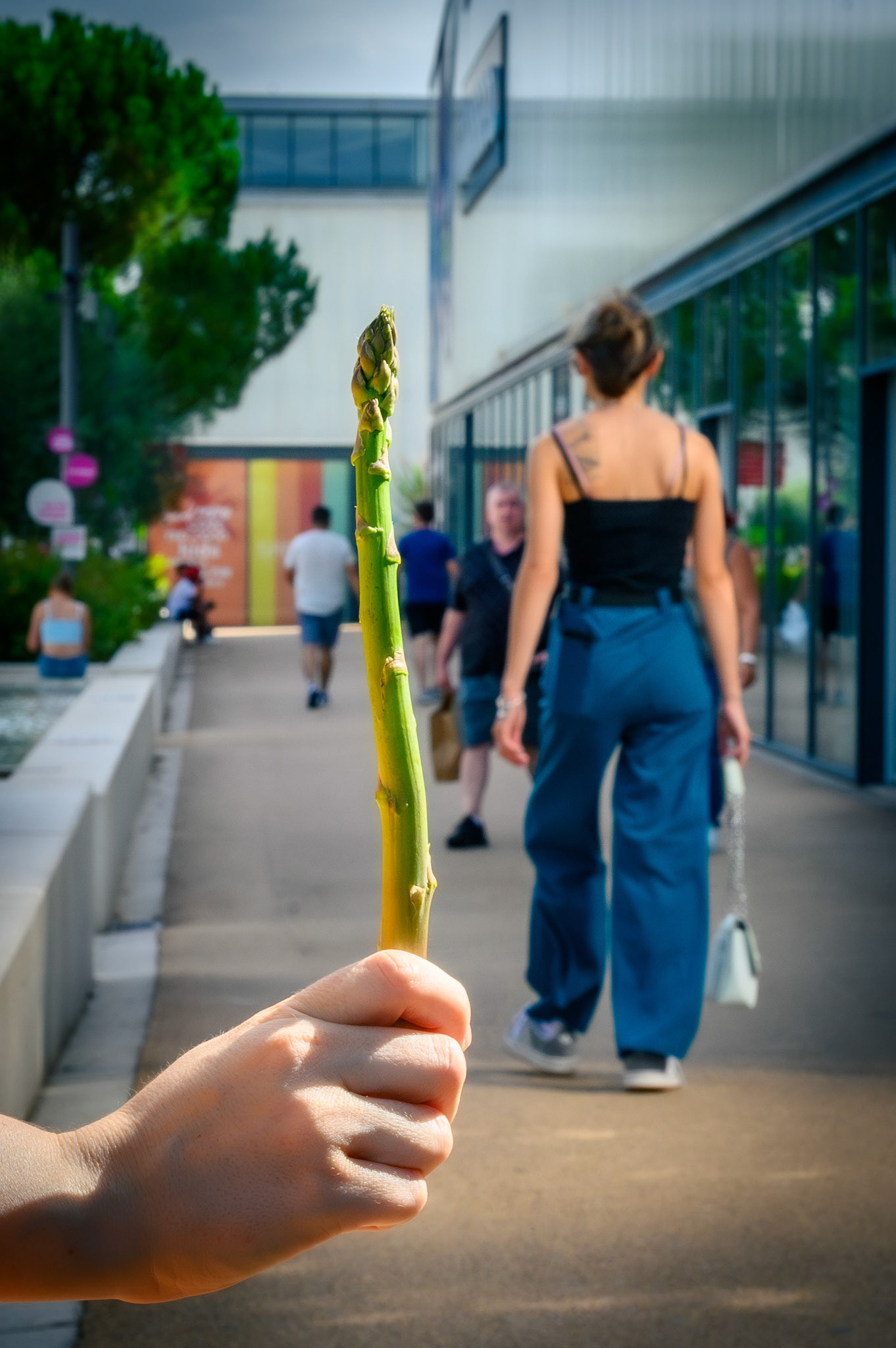 Grande comme une asperge