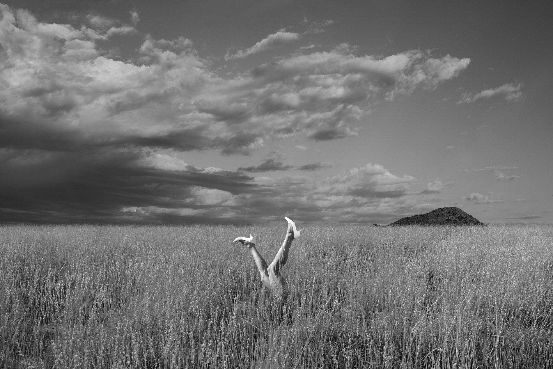 Field