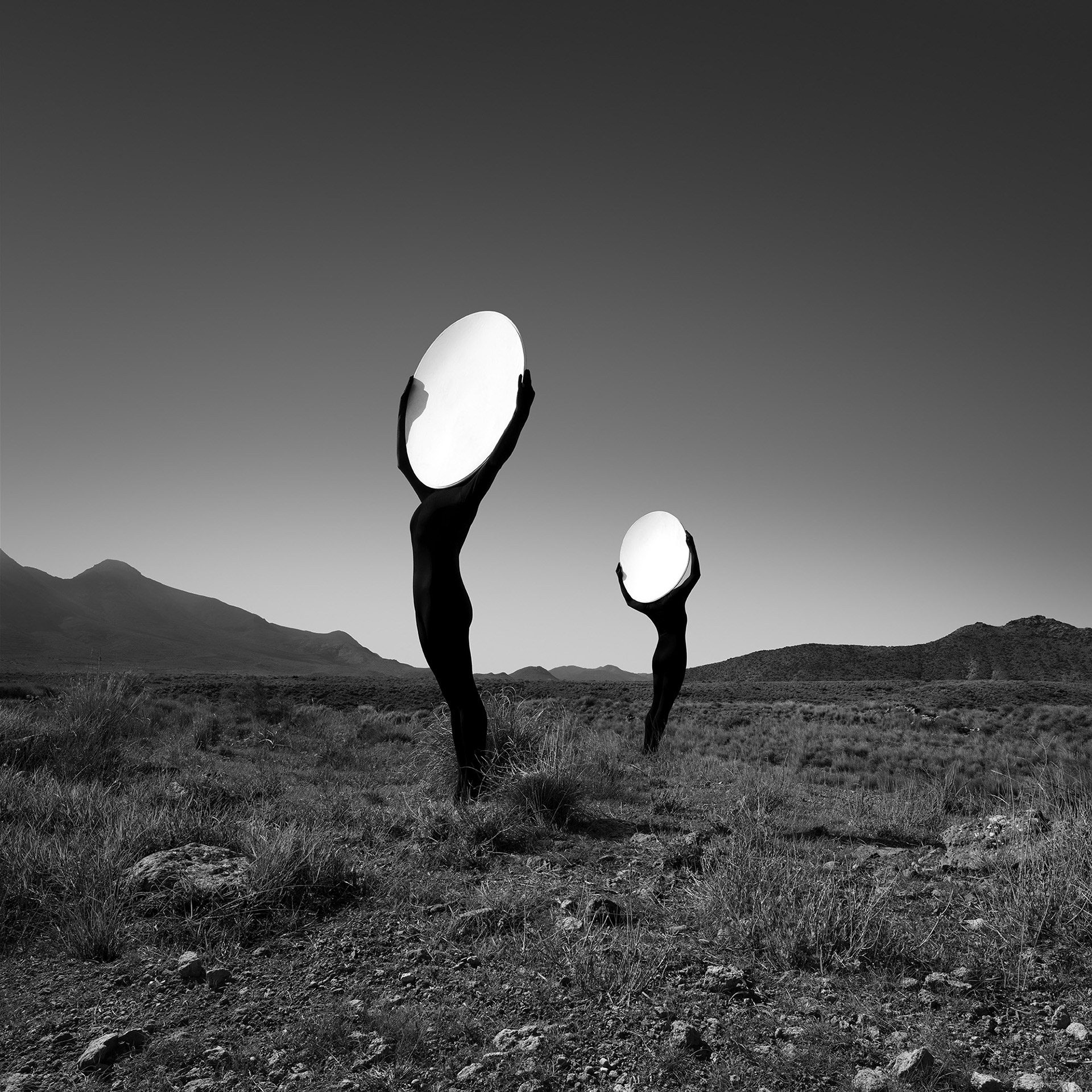 Suncatchers