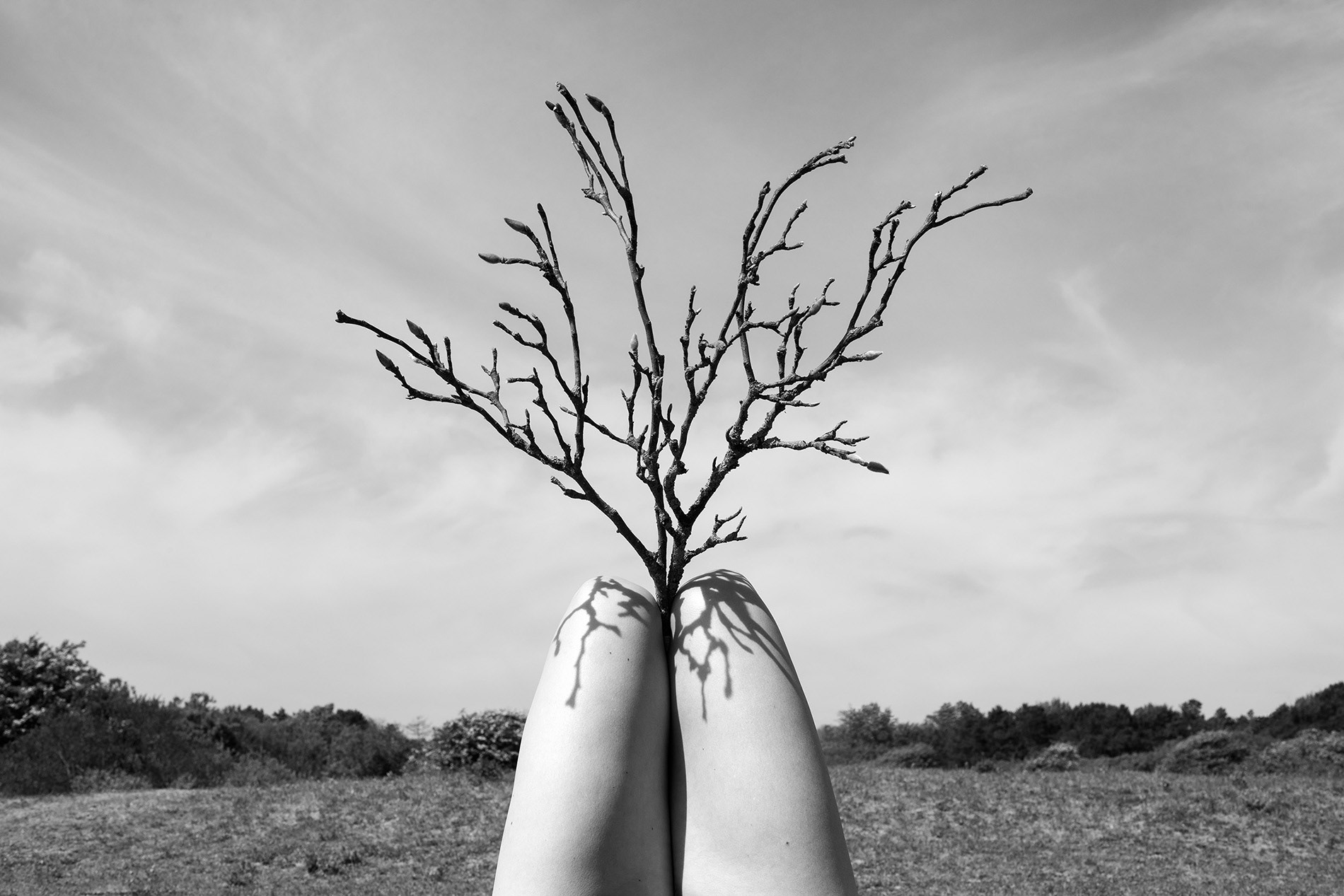 Body Abstract 1