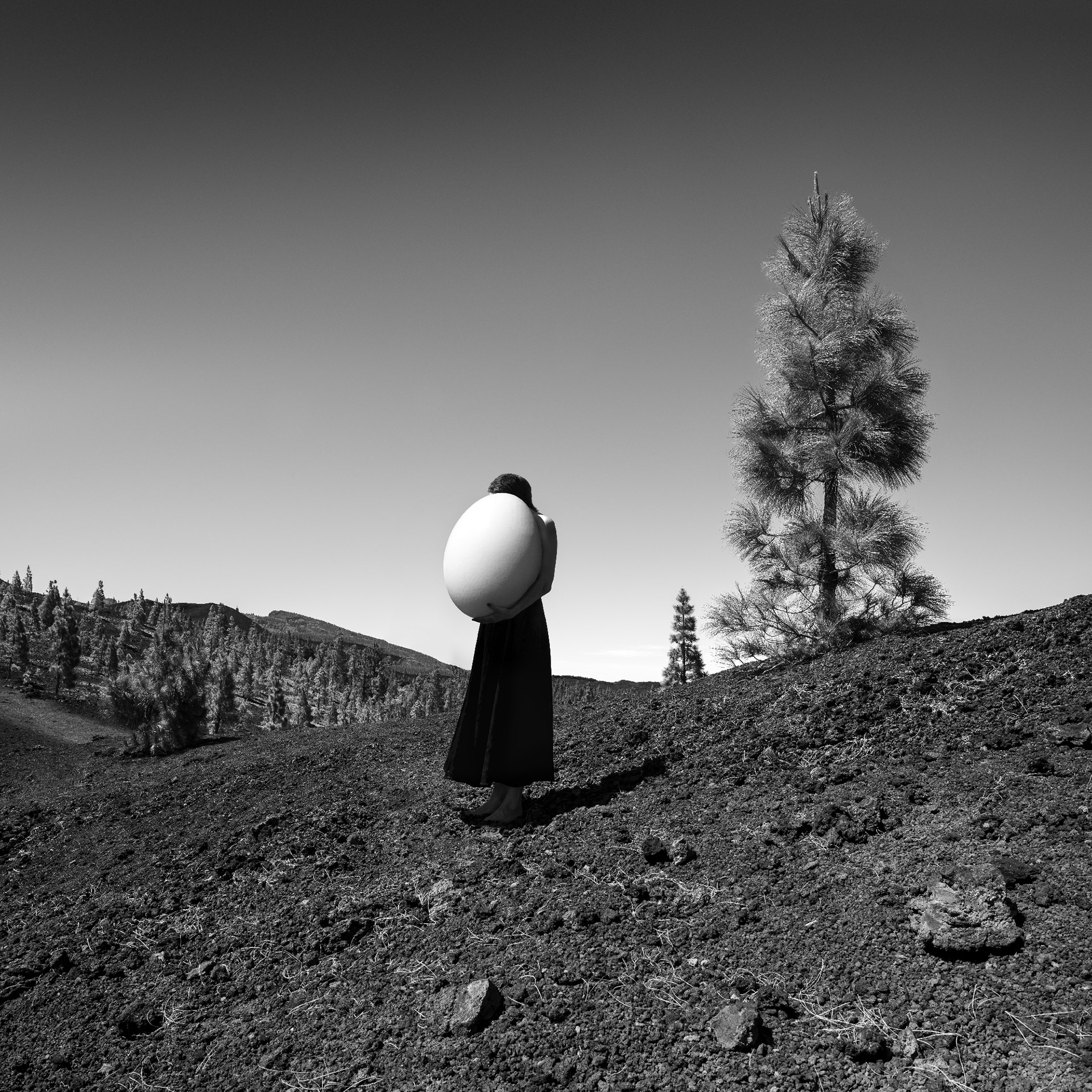 El Teide