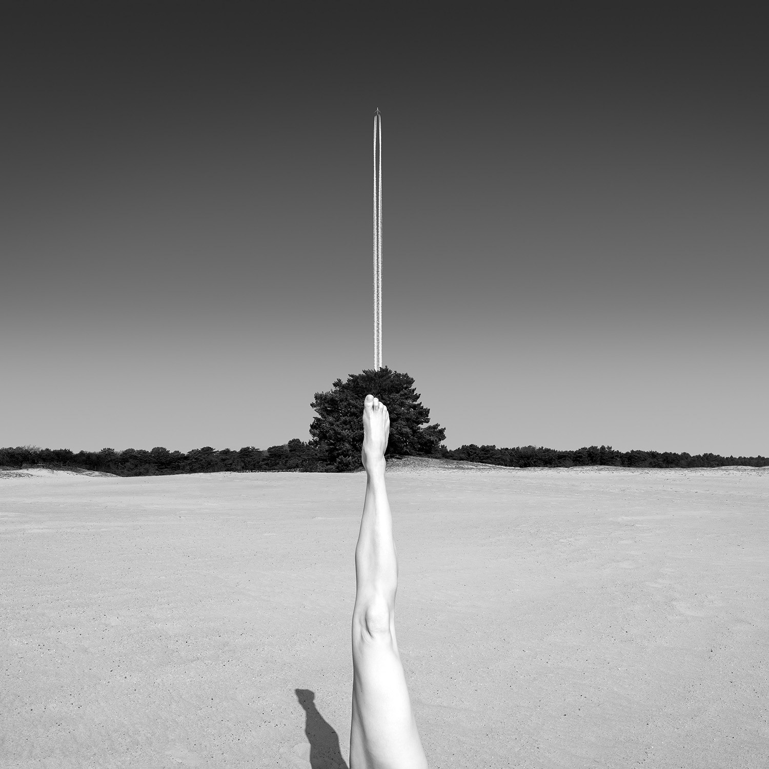 Human // Nature #15