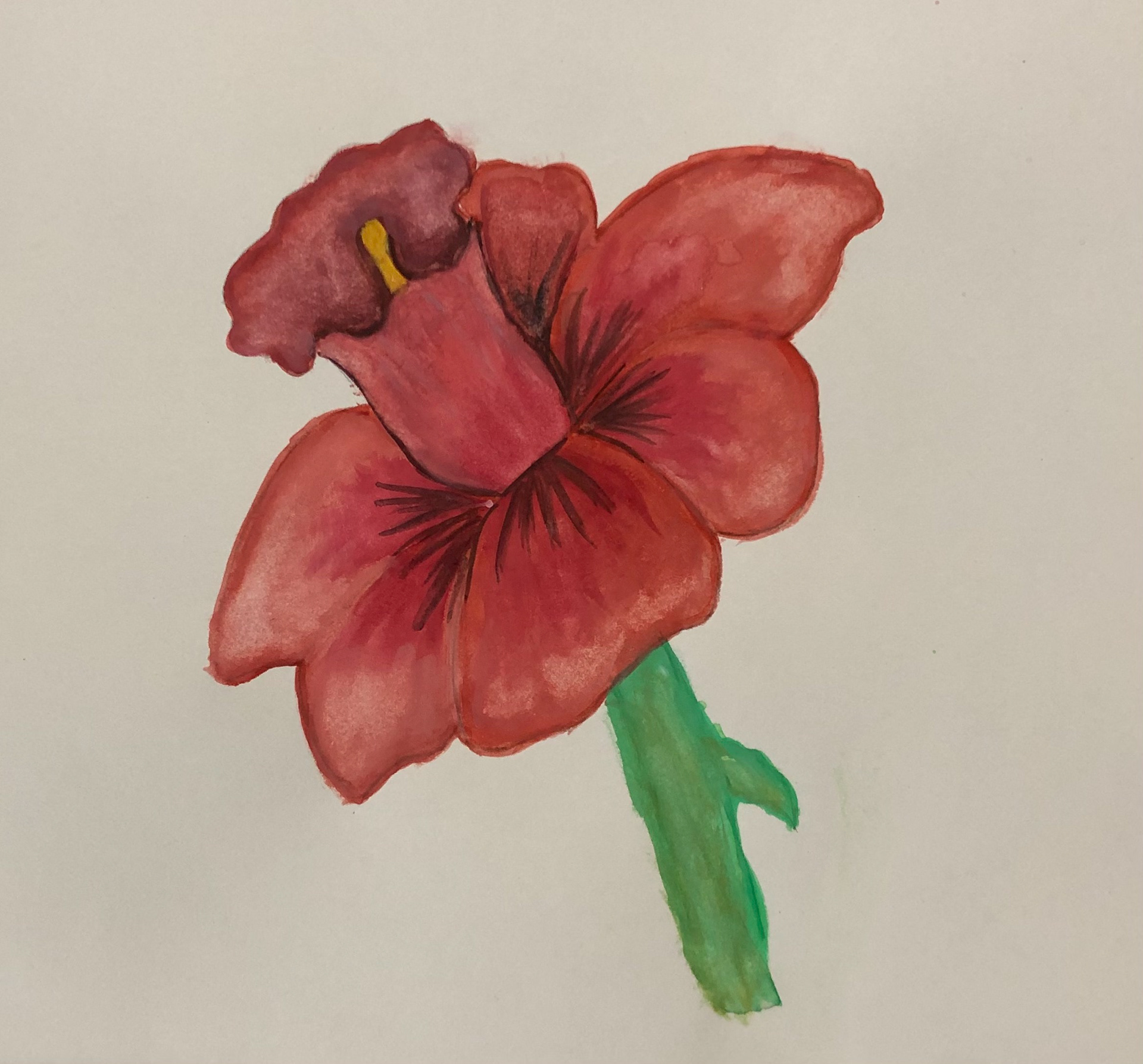 Gouache Paint 