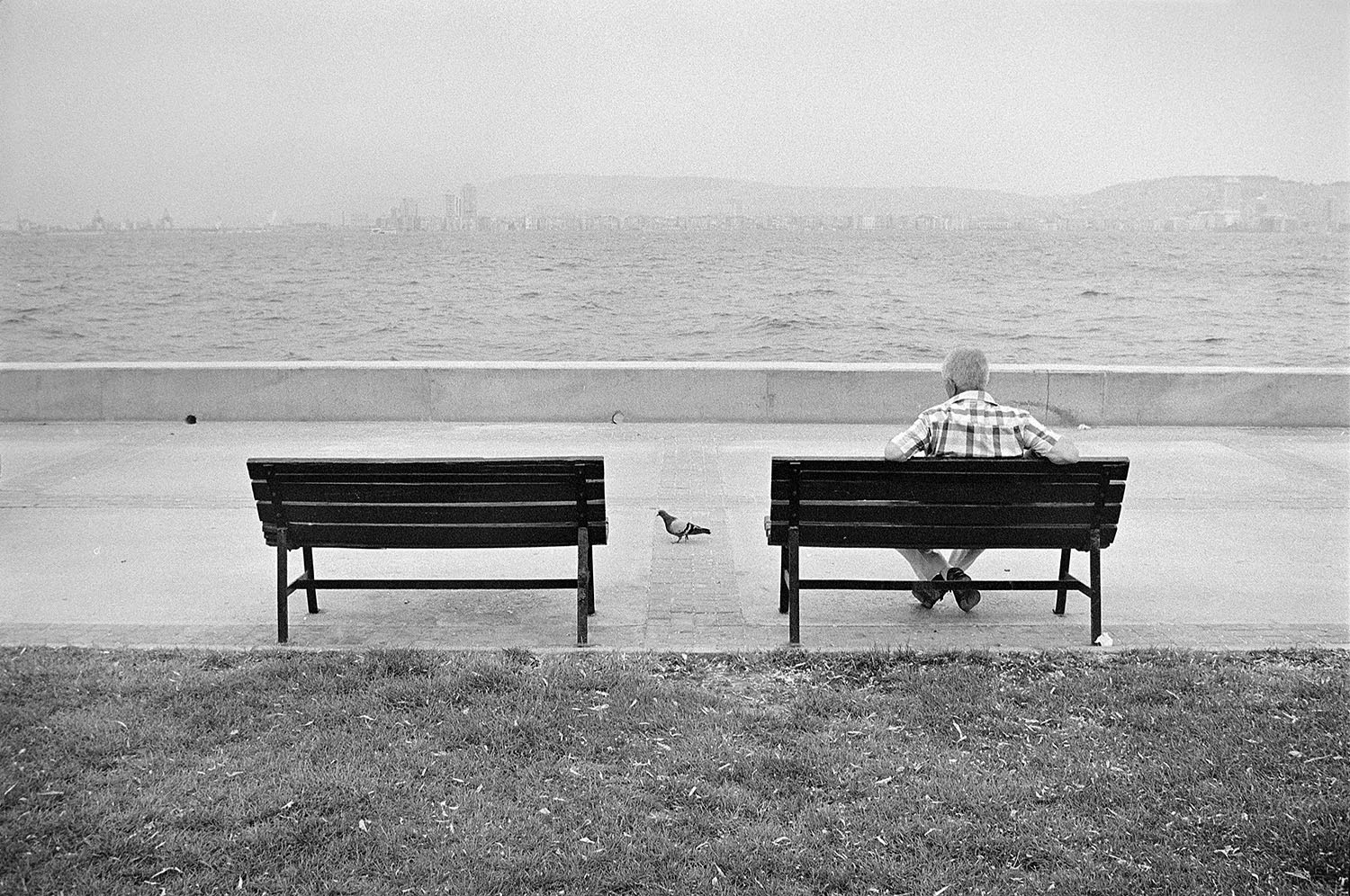 A man sitting on a bench and looking at a pigeon by the sea in Karşıyaka in İzmir.