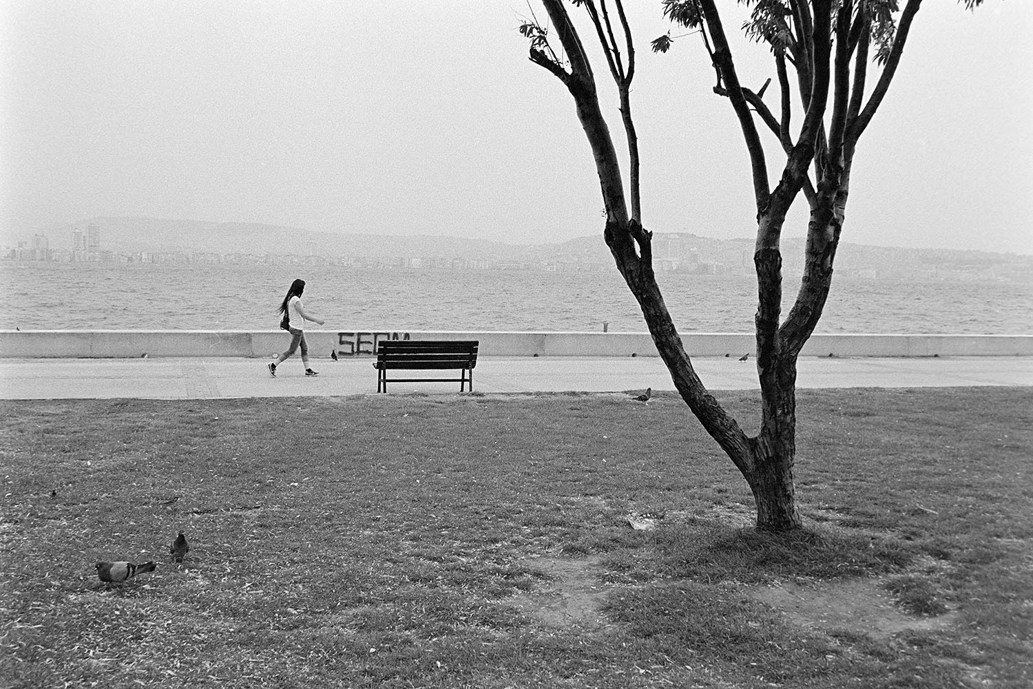 A woman walking by the sea in Karşıyaka with pigeons in the foreground, photographed on black and white film.