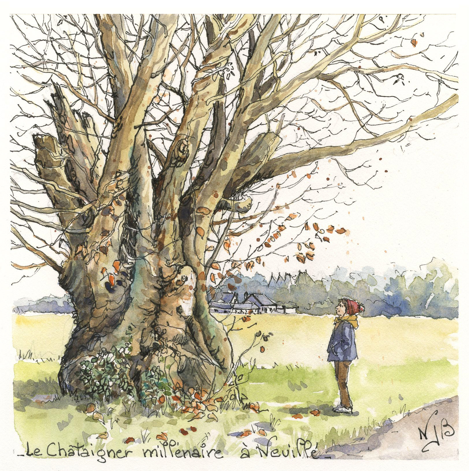Le chêne millénaire