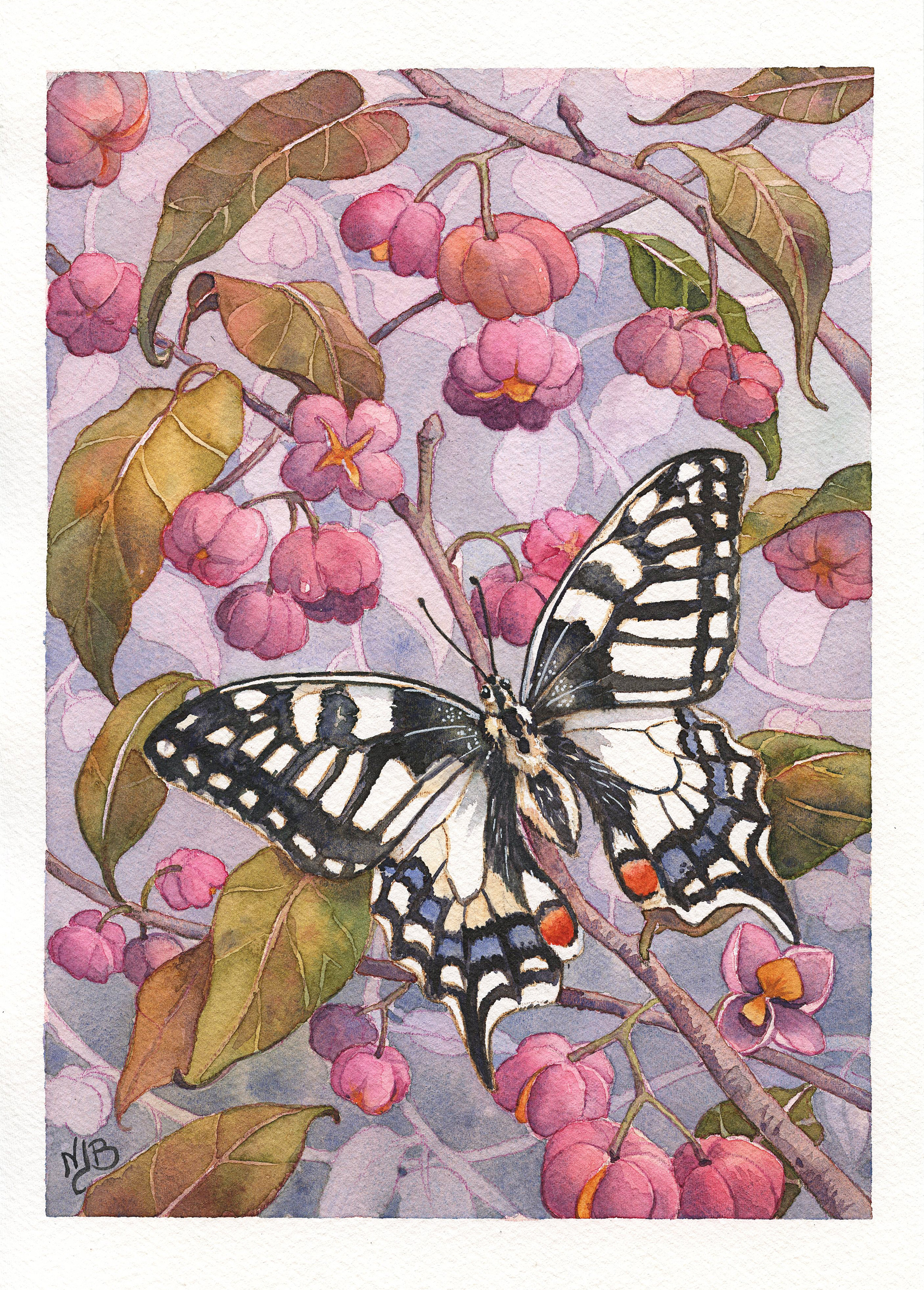 Machaon