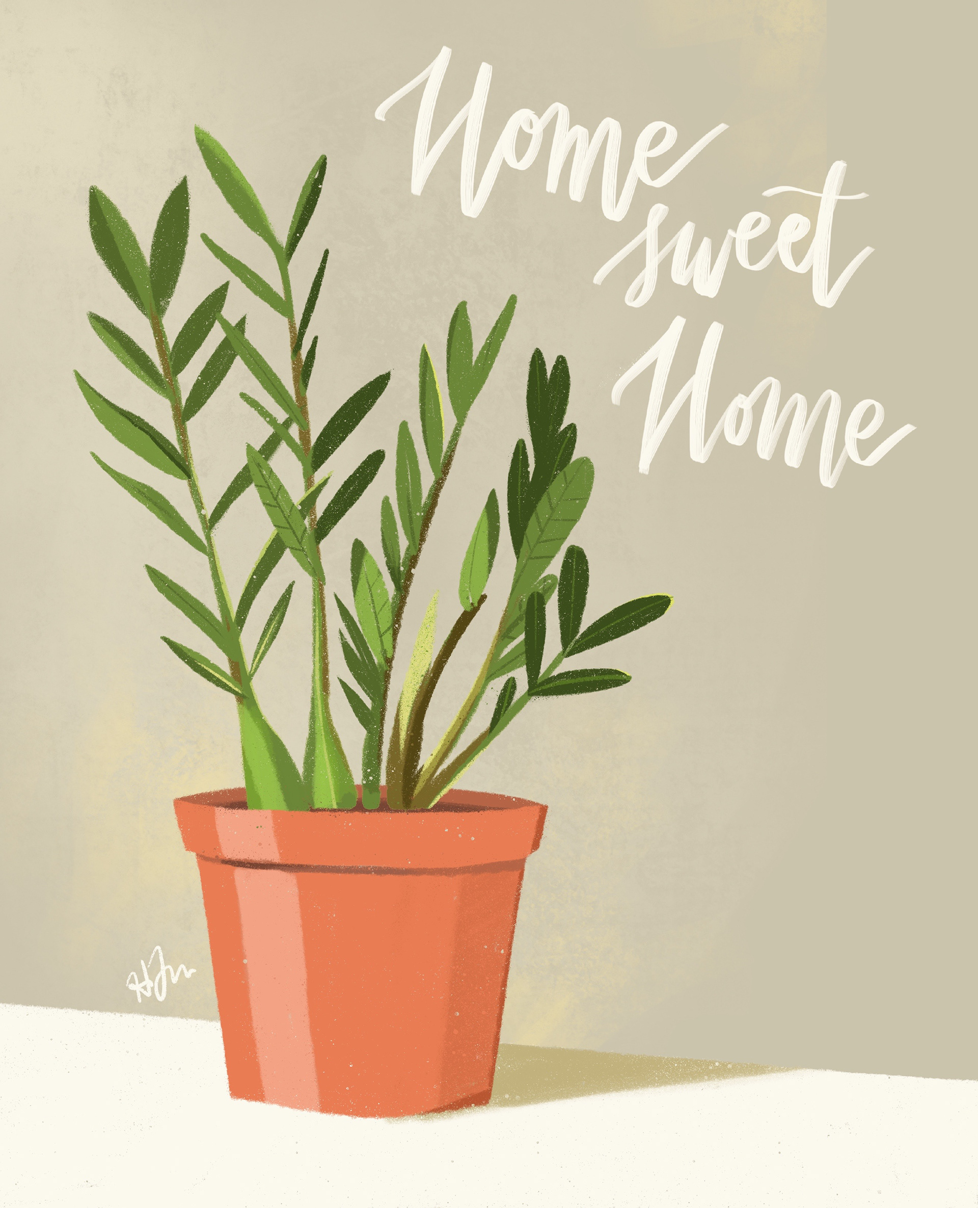 House Plant Illustration