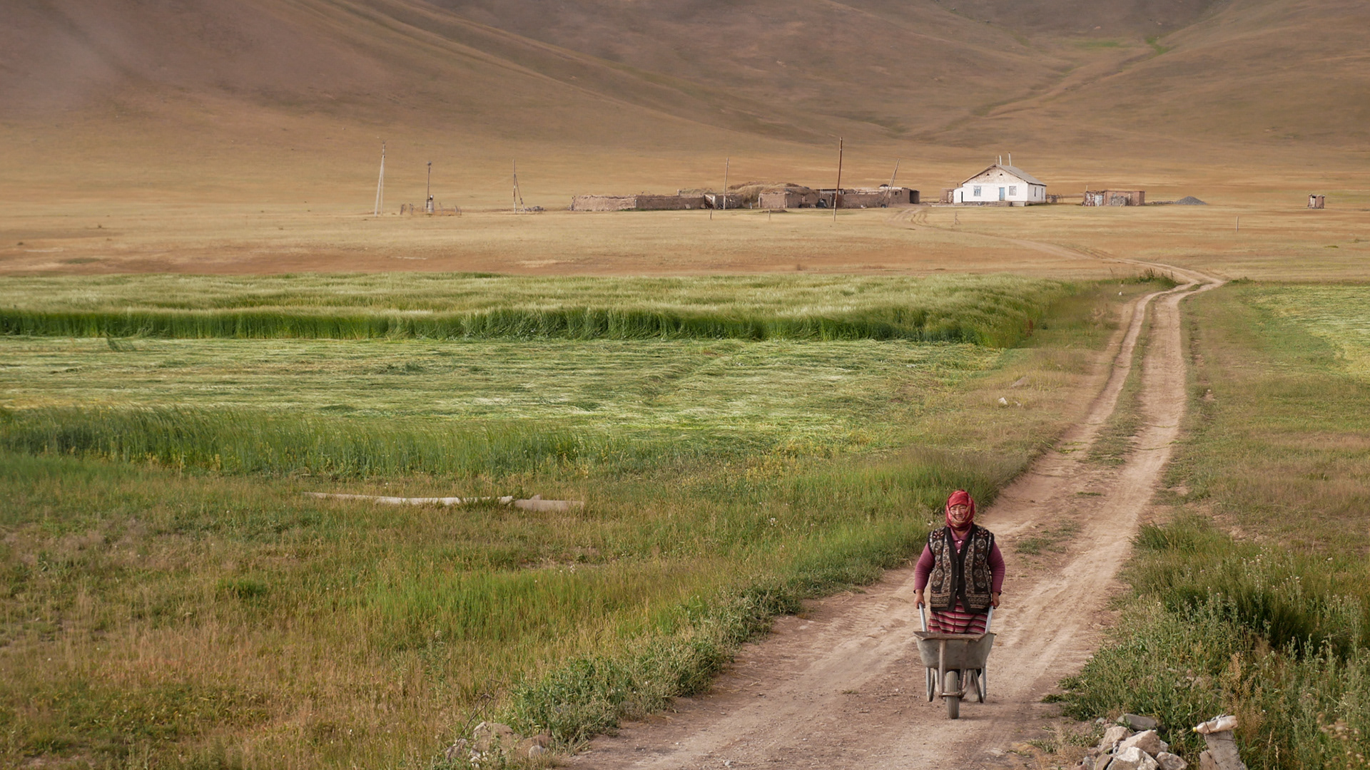 A Kyrgyz woman on her way to pick up her groceries from a bus driver