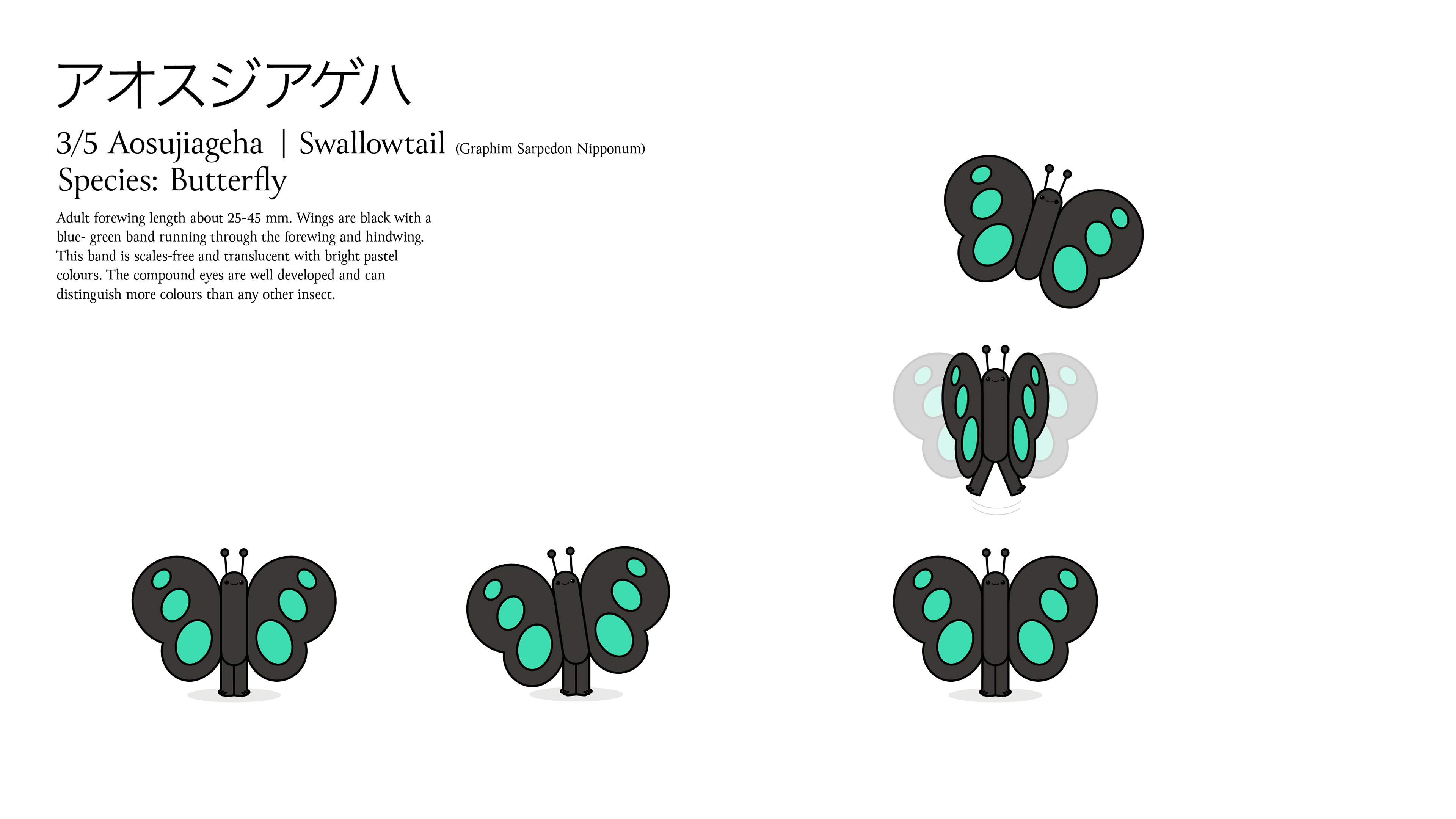 Character design sheet for 'Aosujiageha | Swallowtail' featuring text profile information and illustrations of a minimal cartoon black and turquoise butterfly character shown in standing and wing-flapping animation poses on a white background.