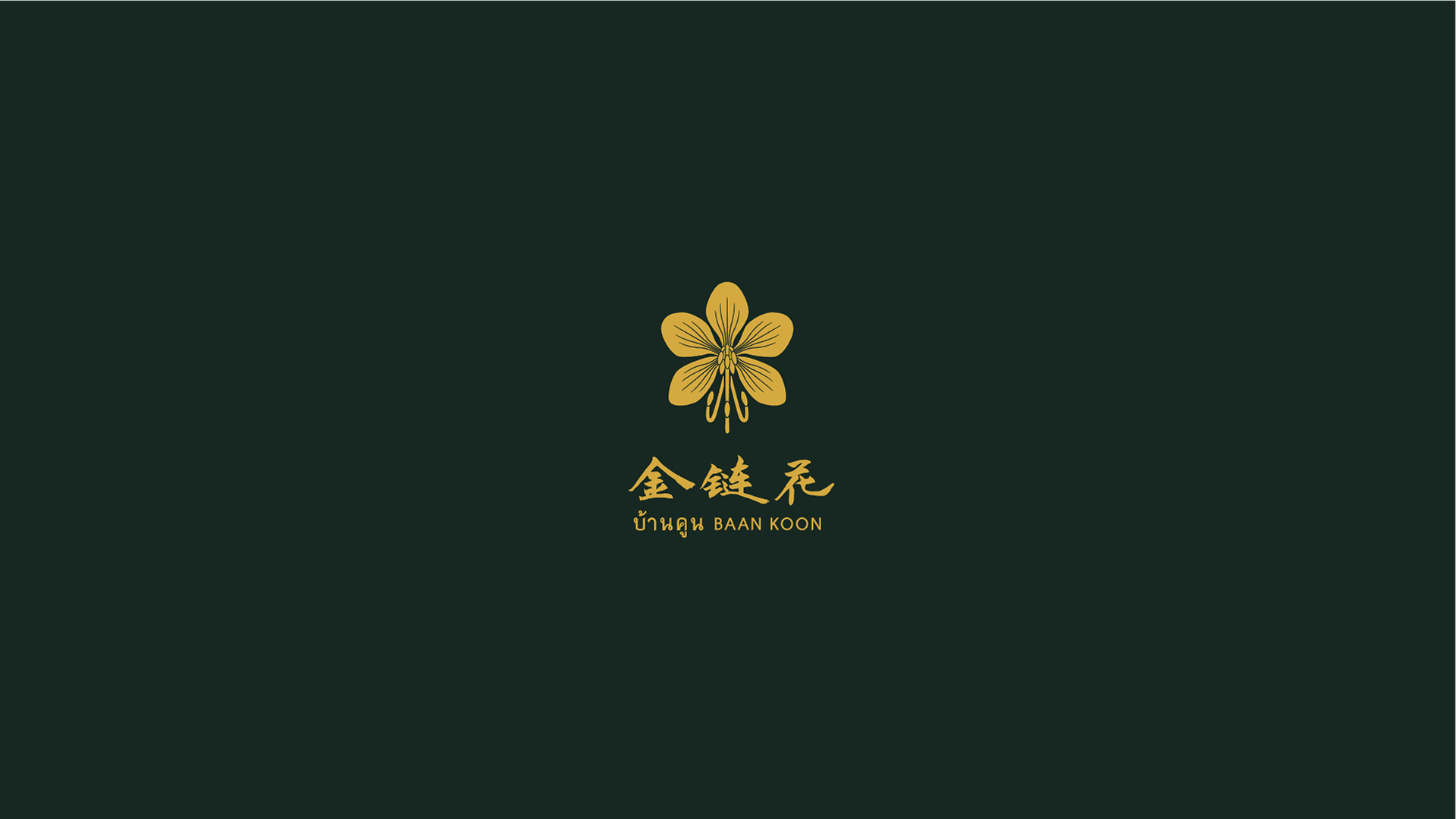 The inverted color variation of the BAAN KOON logo design, featuring the golden five-petal flower icon and multilingual typography centered on a solid dark forest green background.