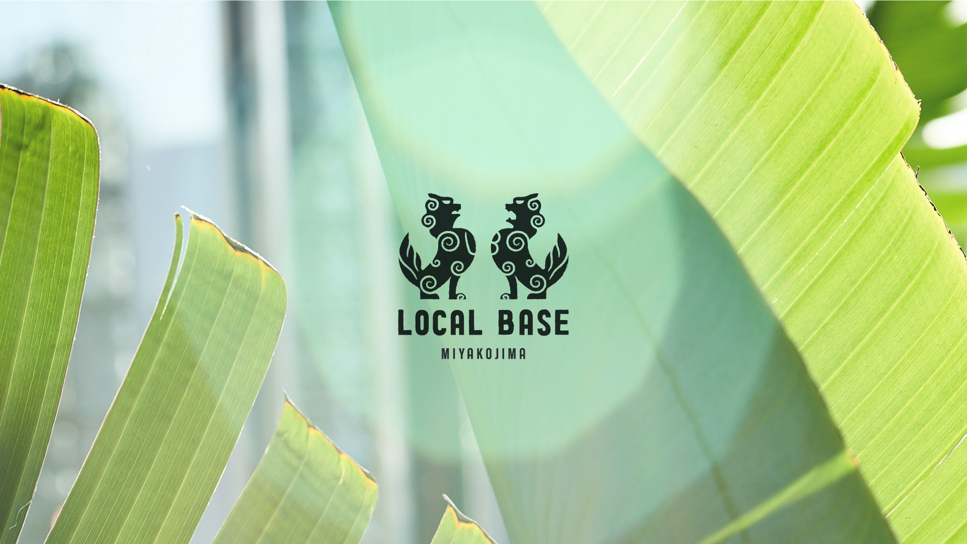 The dark green LOCAL BASE MIYAKOJIMA logo overlaying a sunlit lifestyle photograph framed by vibrant, bright green tropical palm fronds and soft lens flare.