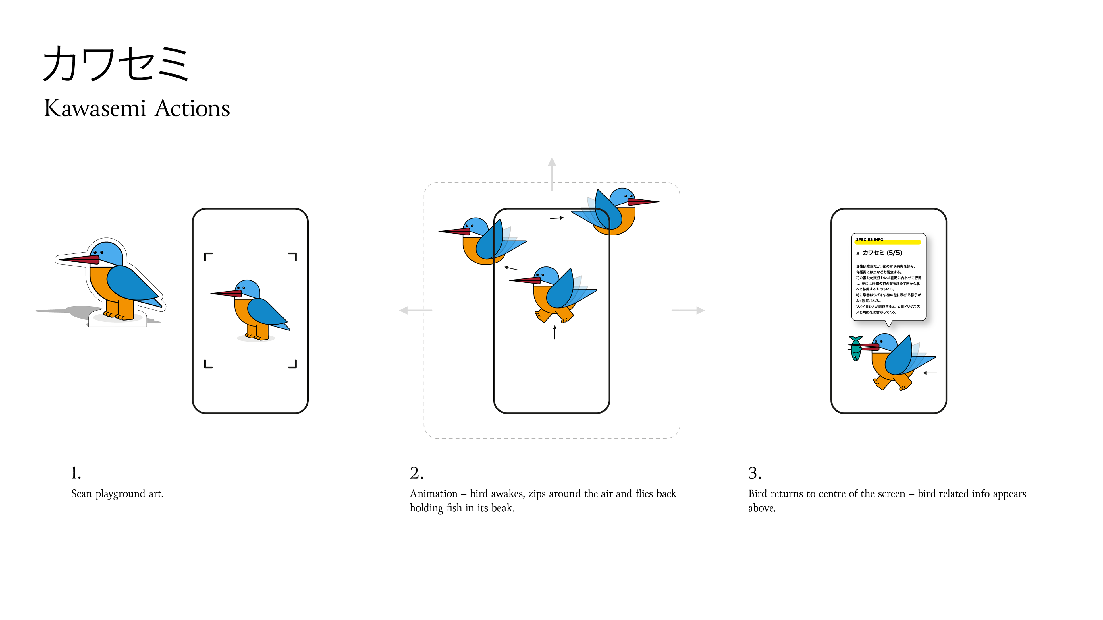 An augmented reality (AR) app workflow concept sheet titled 'Kawasemi Actions,' showing a three-step interaction process with a minimal cartoon blue and orange bird character on a smartphone screen against a white background.