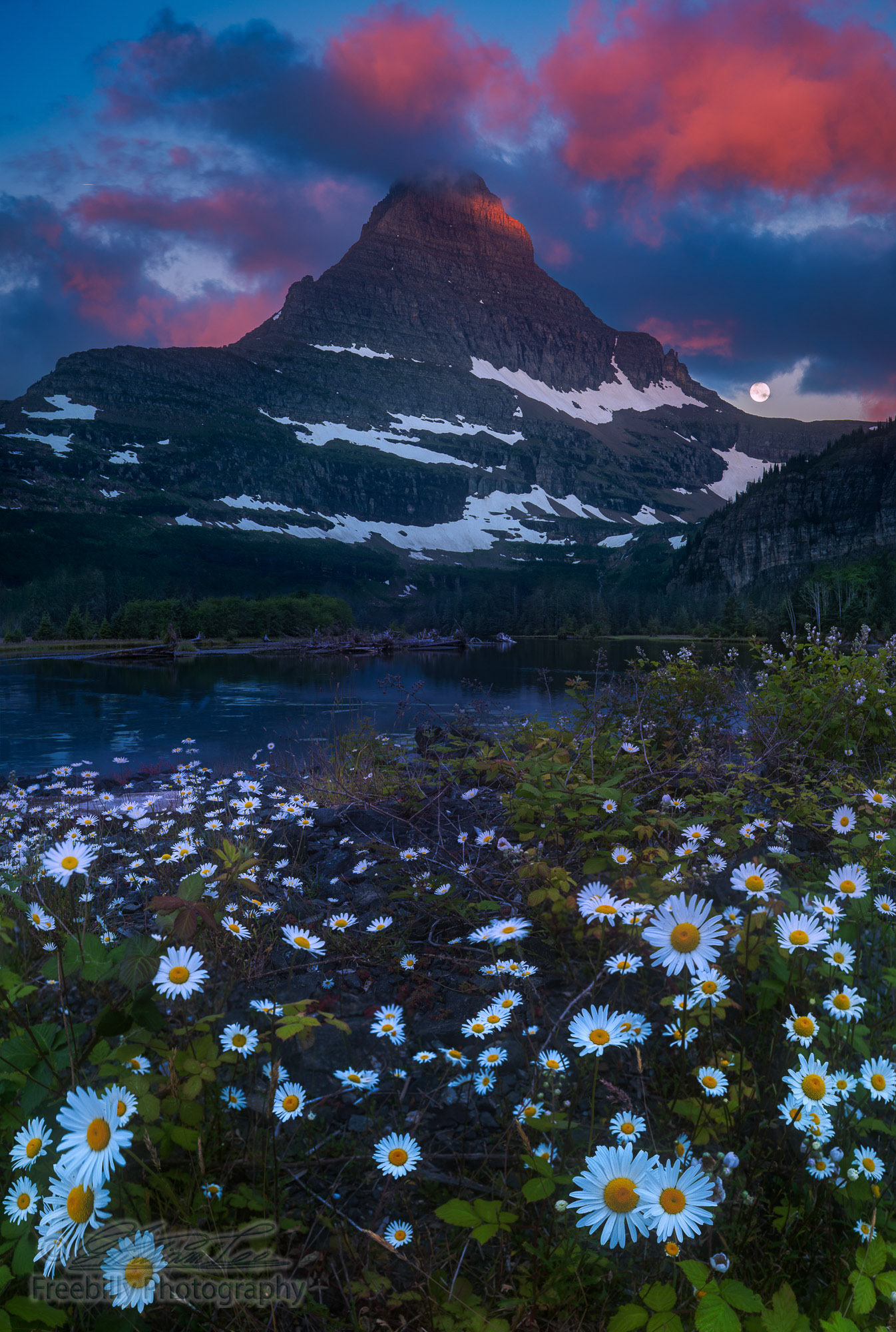 The peak of Glacier National Park illuminated by the morning sun, with moonset and wildflowers.