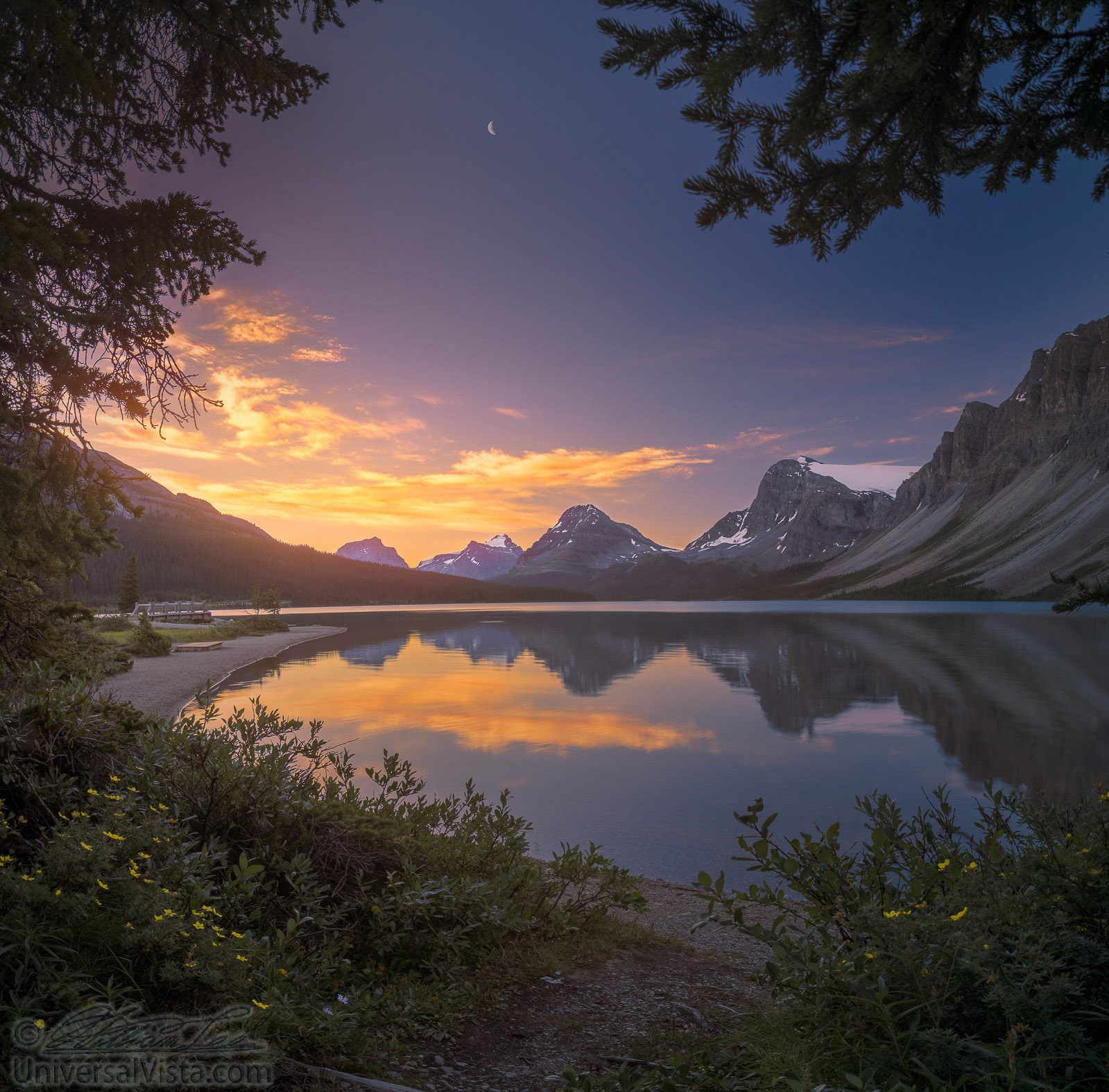 This is a panorama of Bow Lake at dawn