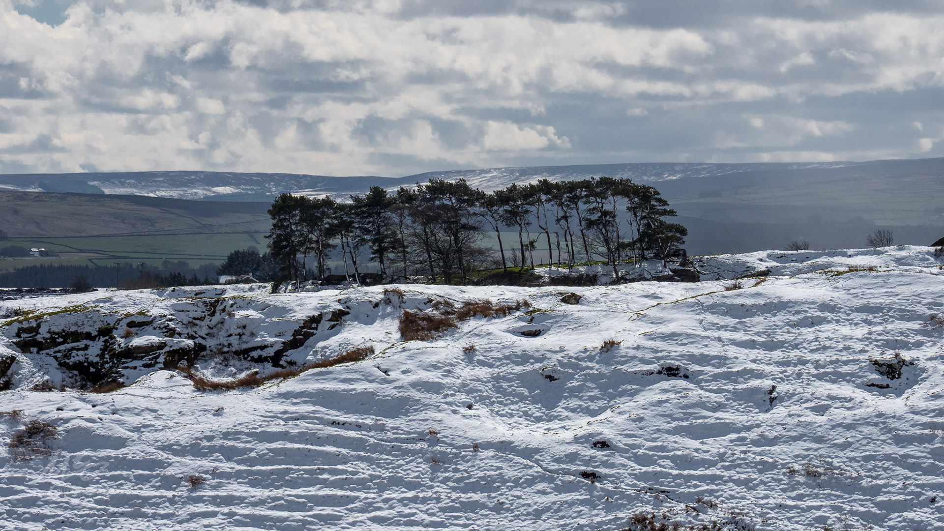 Housesteads, Northumberland