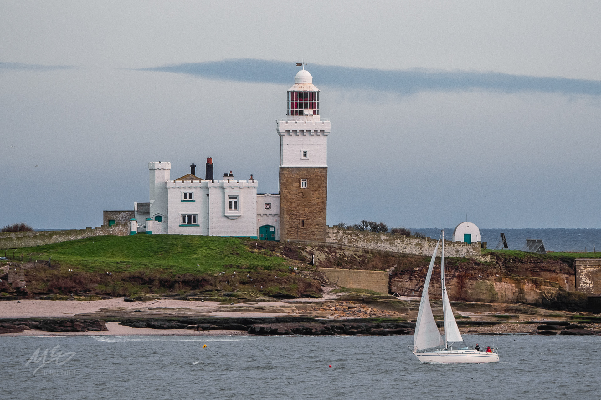 Coquet Island, Northumberland