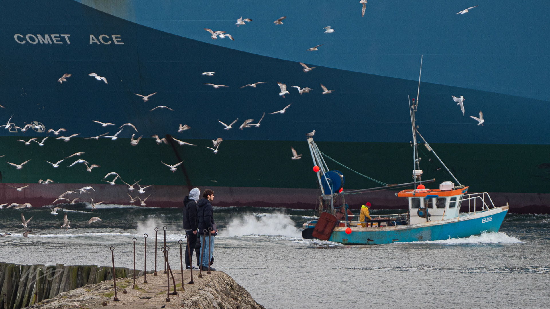 Fishing boat & seagulls, Fish Quay, North Shields