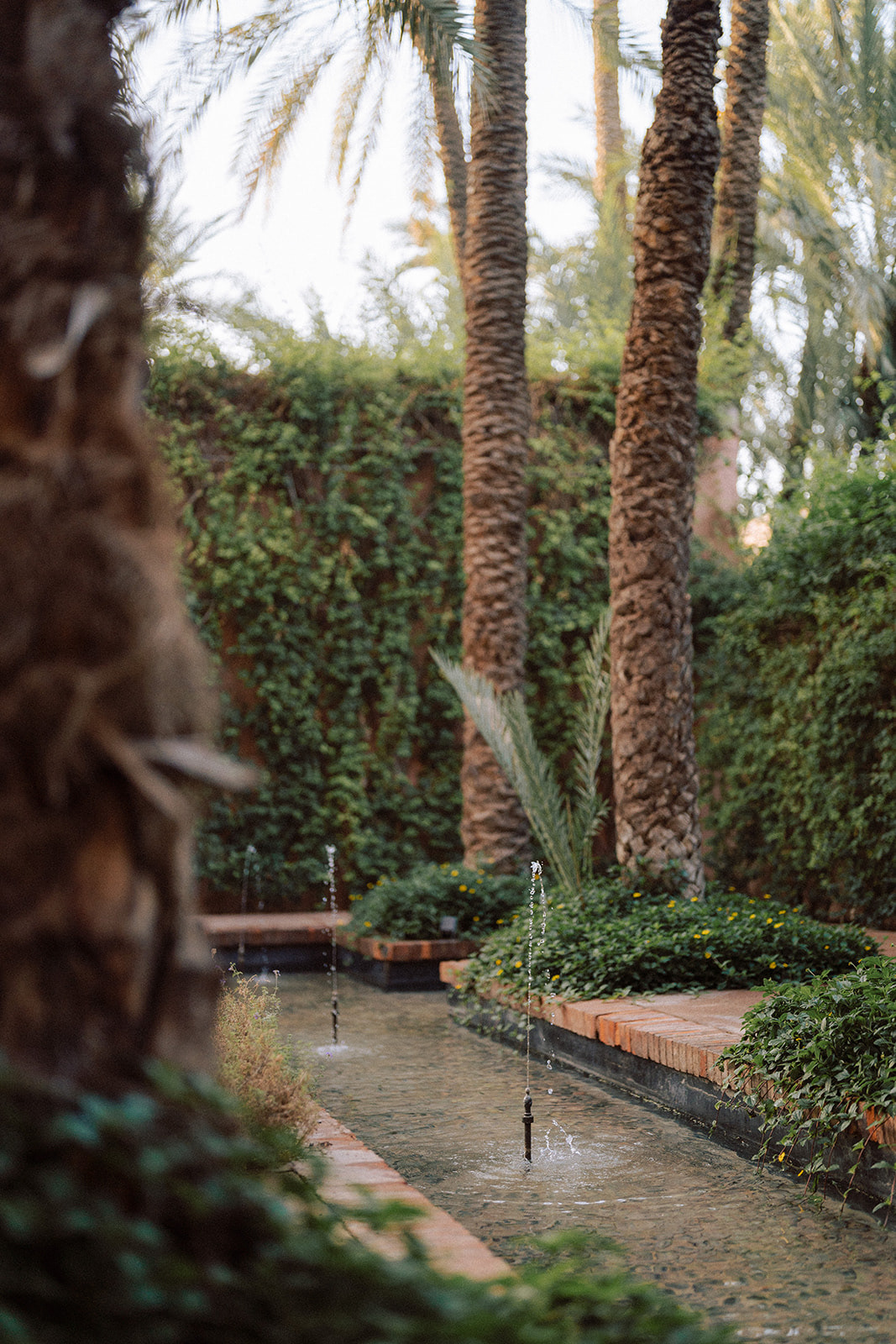 ROYAL MANSOUR Photo @vivienmalagnat