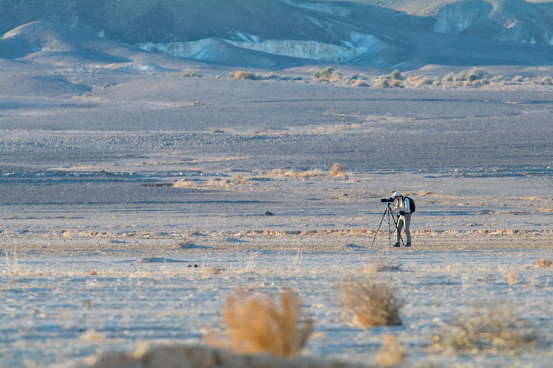 birdwatching, birdlife, izrael, pozorovatel, meopta