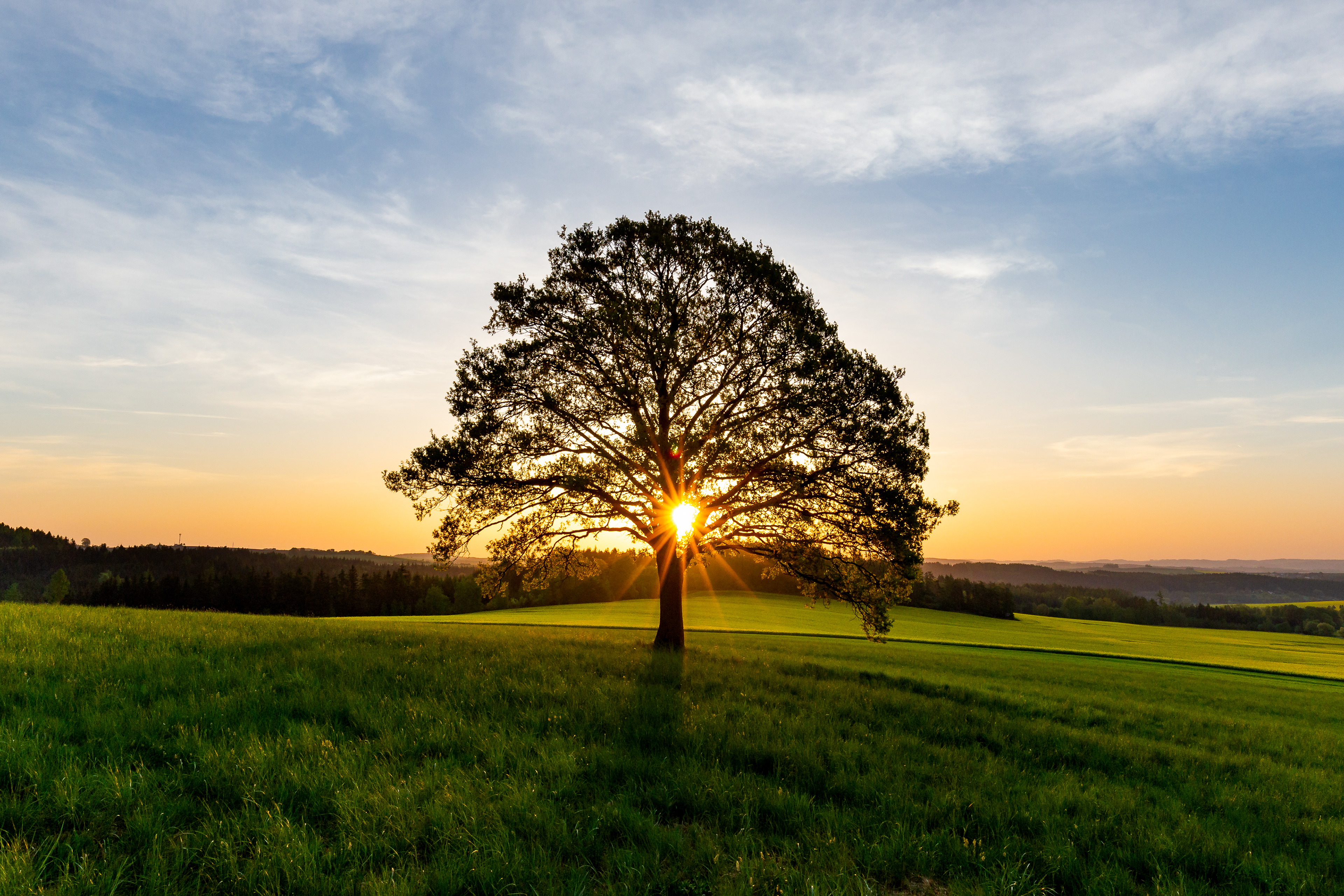 východ slunce v krajině, řepka, tábor, východ slunce jizni cechy